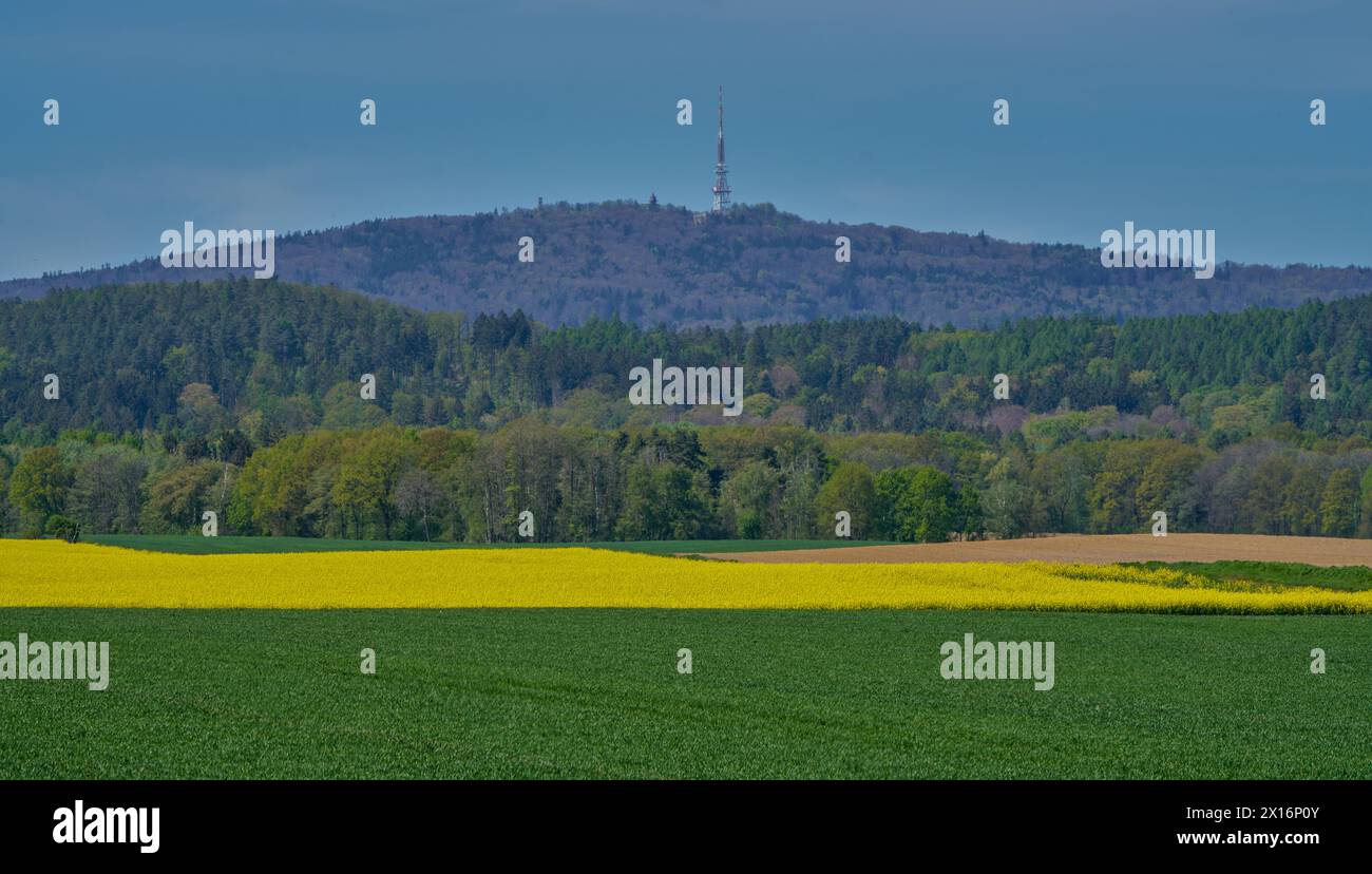 Niederschlesien farbenfrohe Frühlingslandschaft Niederschlesien Polen Stockfoto