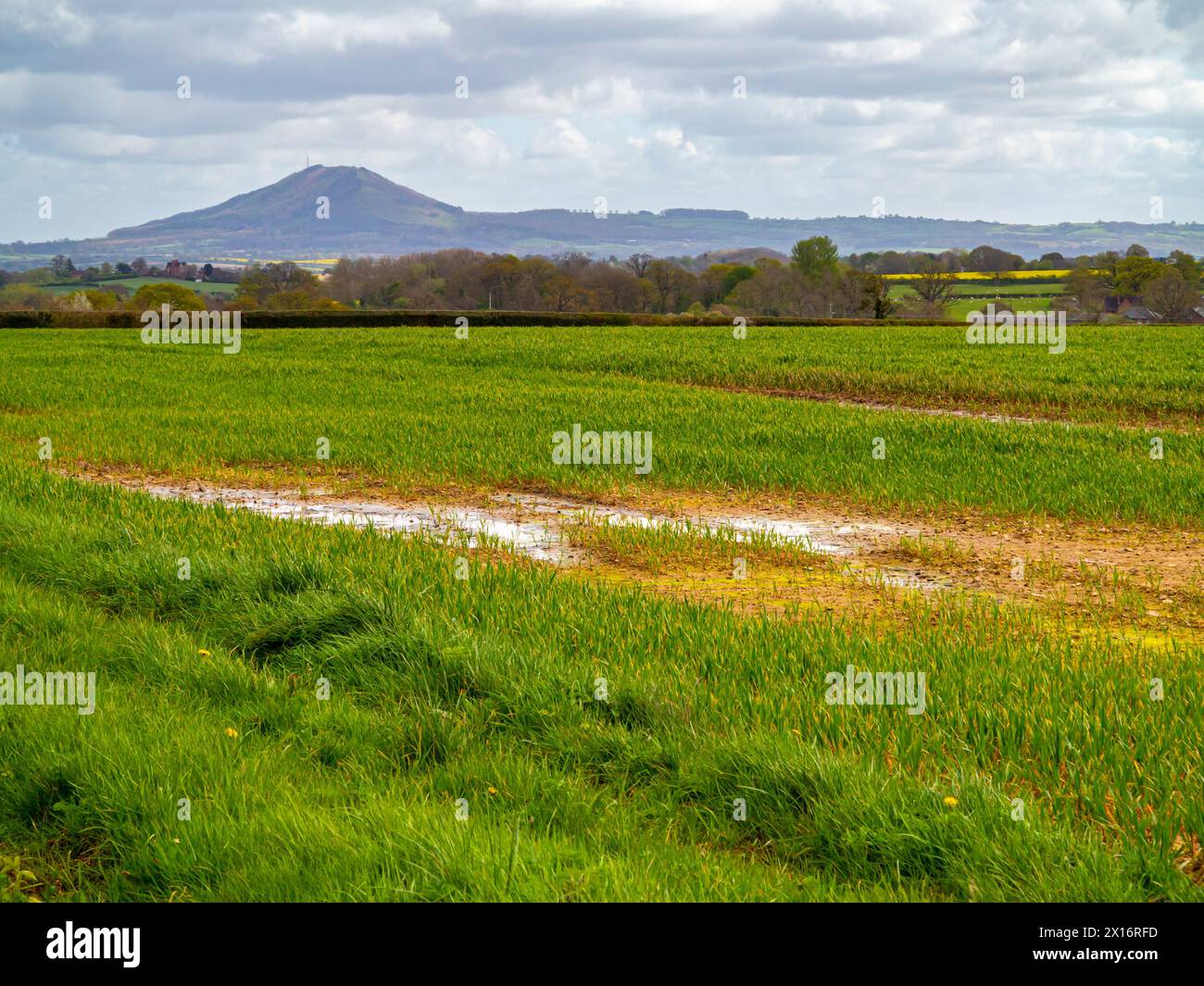 Blick auf die wasserdurchnässten Felder in Richtung Wrekin in Shropshire England Großbritannien, fotografiert im April 2024 nach einem der feuchtesten Winter aller Zeiten. Stockfoto
