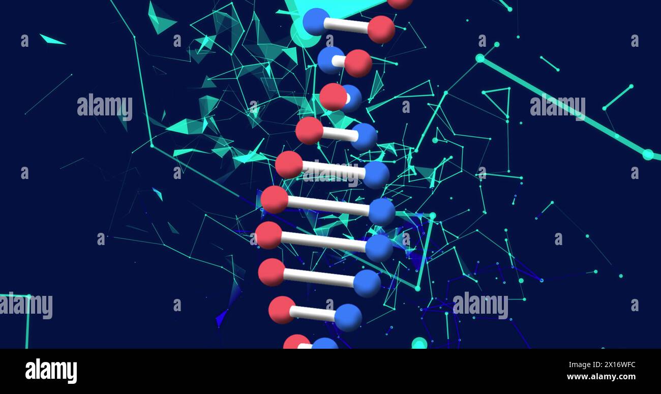 Bild des dna-Strangs über Netzwerk von Verbindungen auf schwarzem Hintergrund Stockfoto