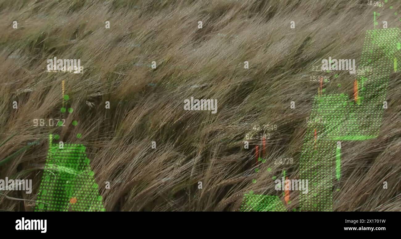Abbildung von Diagrammen und Datenverarbeitung über Graswingen Stockfoto