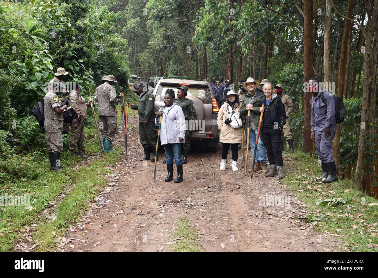 Pulsierende Szene, während Touristen, Reiseleiter und Parkbeamte sich auf eine Gorilla-Wanderung inmitten der grünen, feuchten Wälder von Bwindi vorbereiten, mit Safari-Jeeps Stockfoto