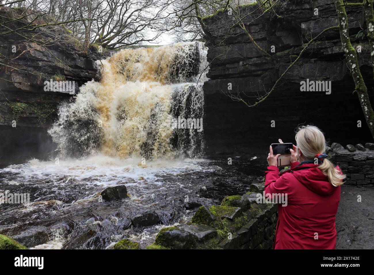 Walker fotografierte die Summerhill Force nach dem Sturm Kathleen, der heftigen Regen in die Gegend brachte, Bowlees, Teesdale, County Durham, Großbritannien Stockfoto