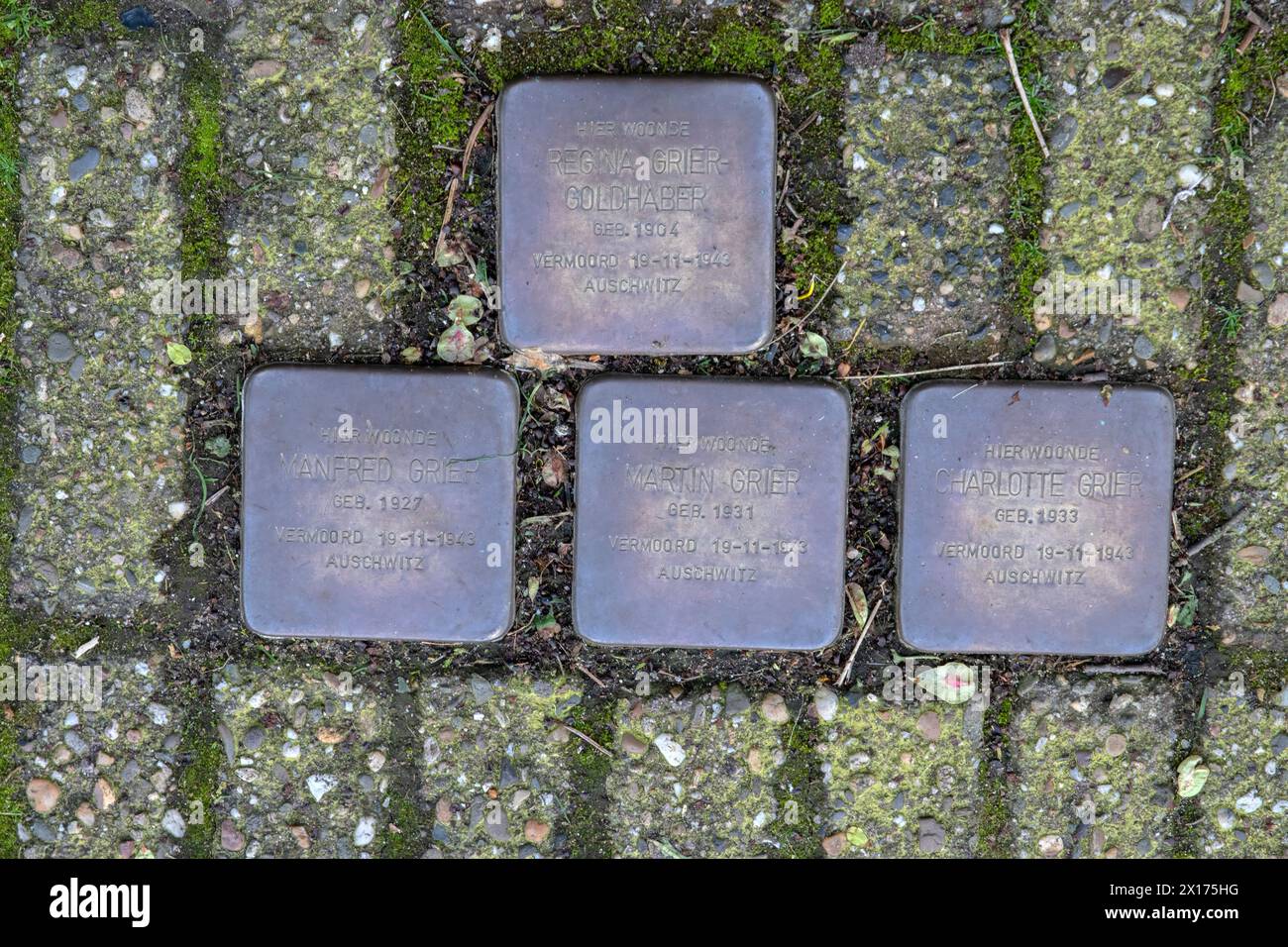 Stolperstein Gedenkstein Von Familie Grier In Amsterdam Niederlande 21-3-2024 Stockfoto