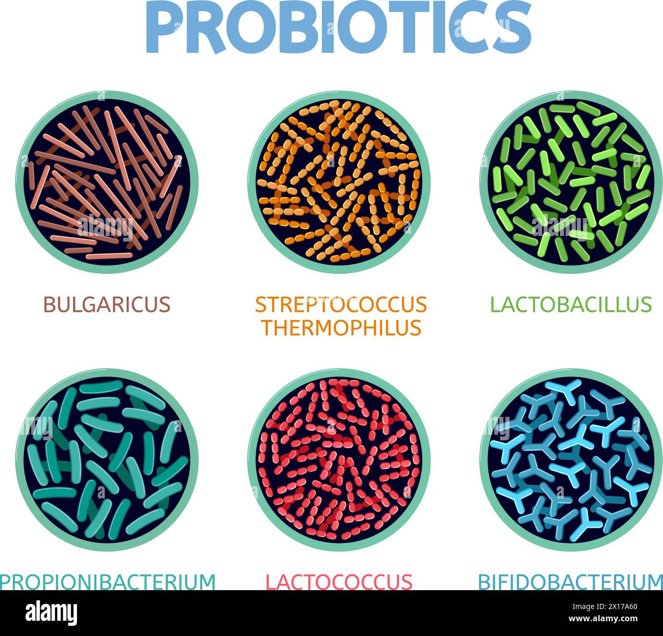 Abstrakte bakteriologische Vektorsymbole isoliert auf weißem Hintergrund. Bulgaricus, Streptococcus thermophilus, lactobacillus, propionibacterium, lactococcus Stock Vektor