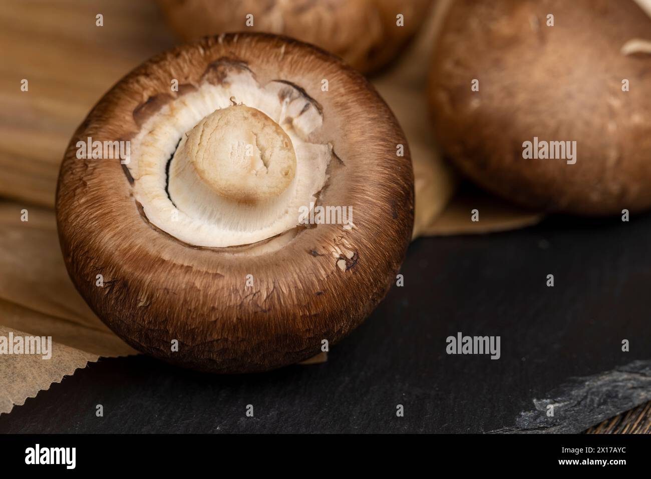Frische braune Pilze zum Kochen, essbare, selbst angebaute Pilze zum Kochen Stockfoto
