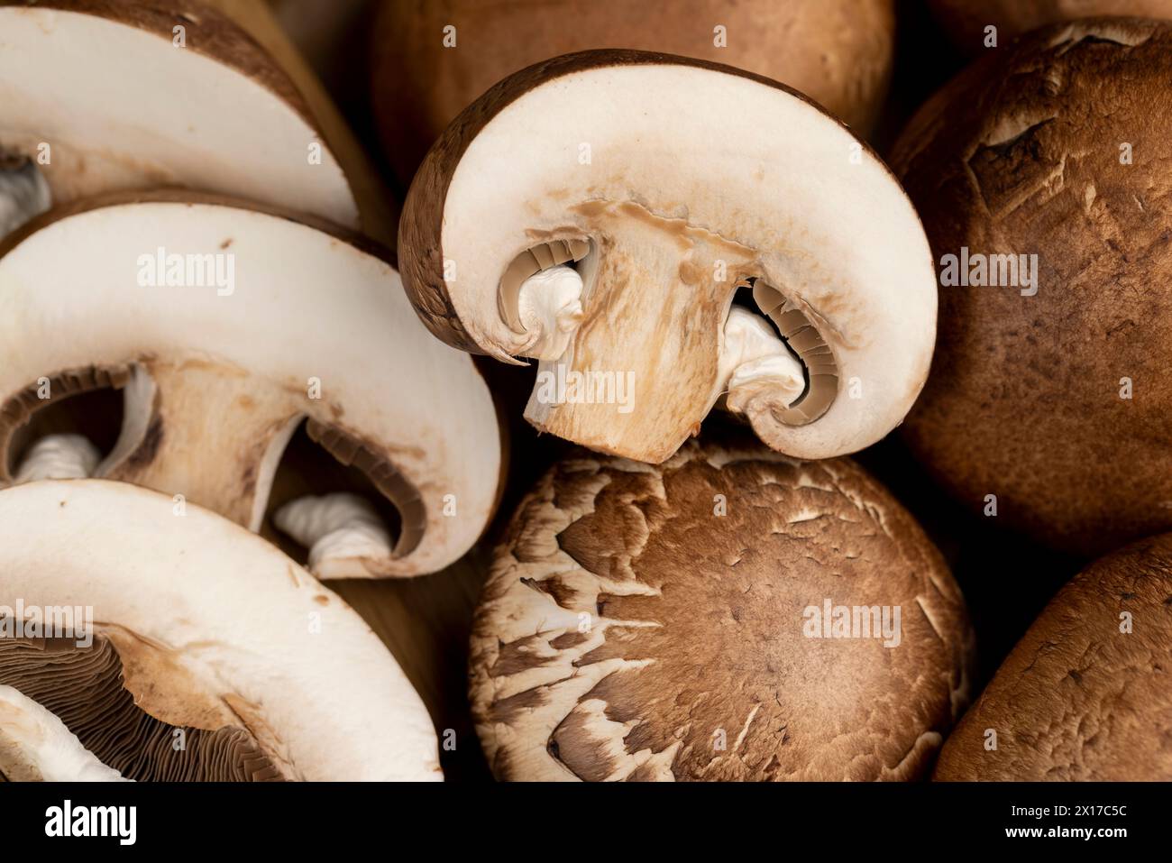 Frische braune Pilze zum Kochen, essbare, selbst angebaute Pilze zum Kochen Stockfoto