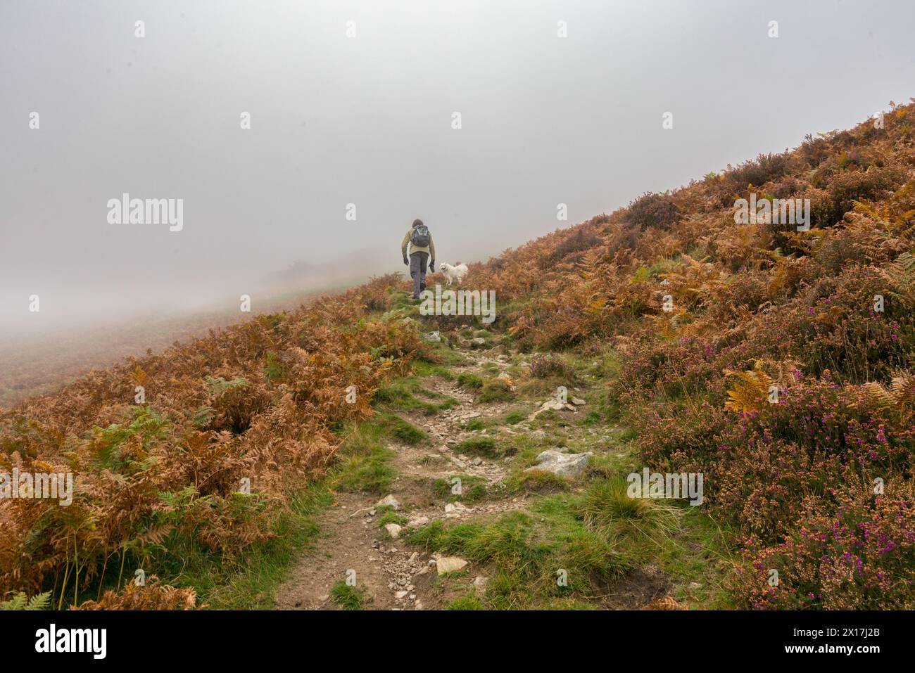 Derwentwater, Lake District Stockfoto
