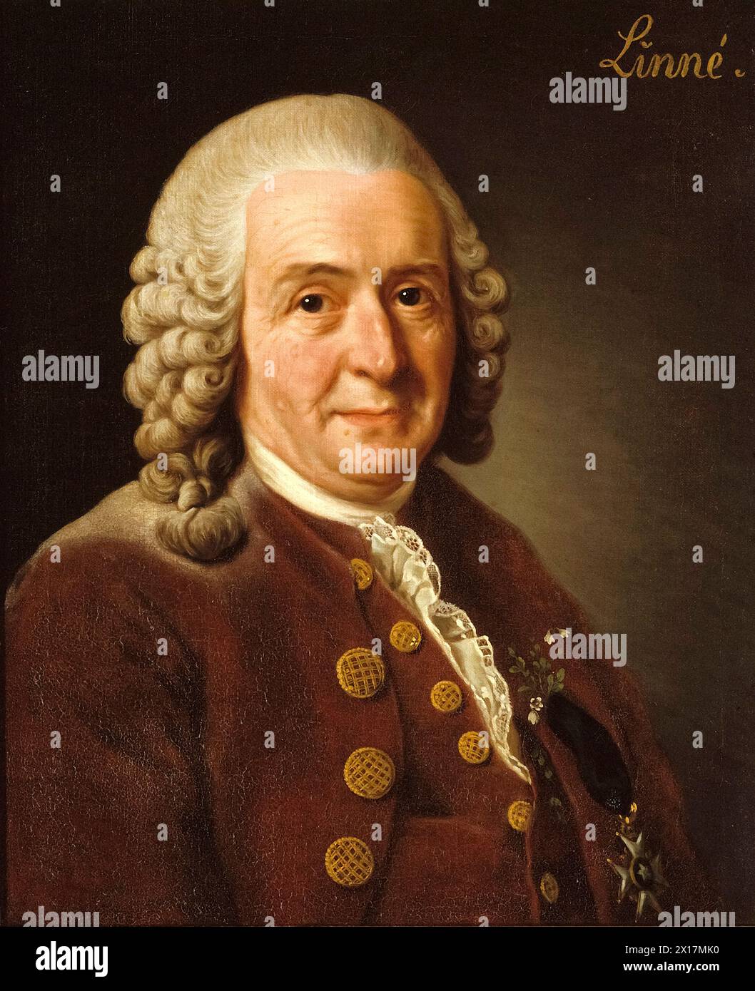 Carolus Linnaeus (1707-1778) von Alexander Roslin del 1775 Stockfoto