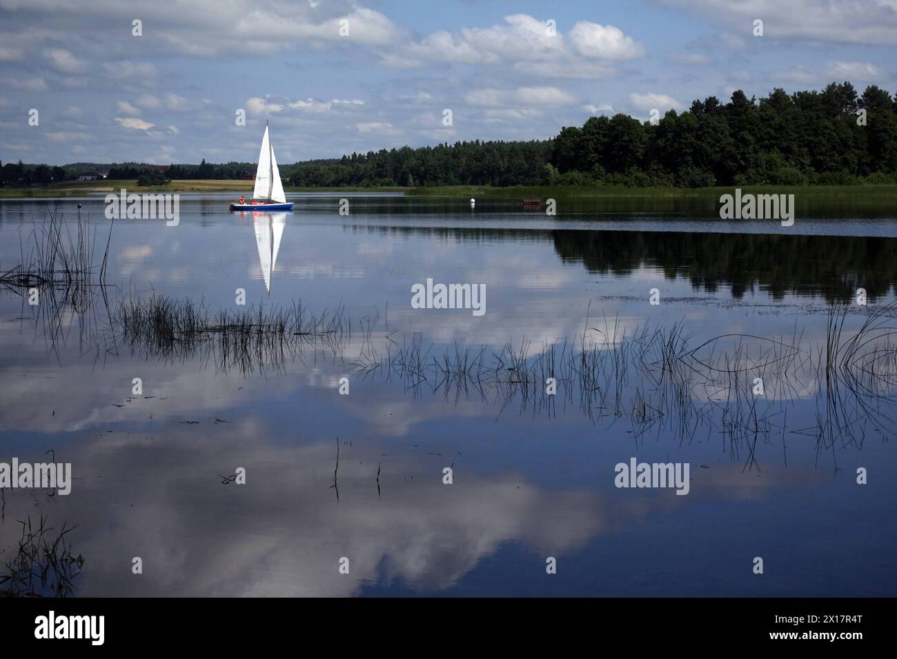 17.07.2020, Lanken, Grosspolen, PLN - Segelboot auf dem Jezioro Gwiazdy. Abgeschieden, Abgeschiedenheit, aussen, Aussenaufnahme, Stiefel, Doppelseite, einsam, Einsamkeit, Europa, europaeisch, Gesellschaft, Gewaesser, Grosspolen, Jahreszeit, Jezioro Gwiazdy, Lakie, Landschaft, Landschaftsaufnahme, Lanken, Lipka, Natur, Osteuropa, Polen, Polnisch, QF, Querformat, Ruhe, ruhig, See, Segelboot, Segeln, Segelsport, Sommer, Sport, STILL, Stille, Wasser 200717D026POLEN.JPG *** 17 07 2020, Lanken, Großpolen, PLN Segelboot auf Jezioro Gwiazdy abgelegen, Abgeschiedenheit, draußen, Outdoor, Boot, Doppelseite, Lon Stockfoto