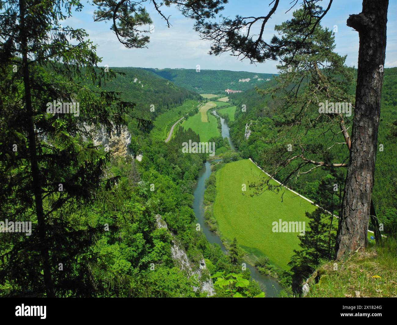 Blick auf das obere Donautal vom Knopfmacherfelsen, Naturpark Tuttlingen, Baden-Württemberg, Deutschland Stockfoto