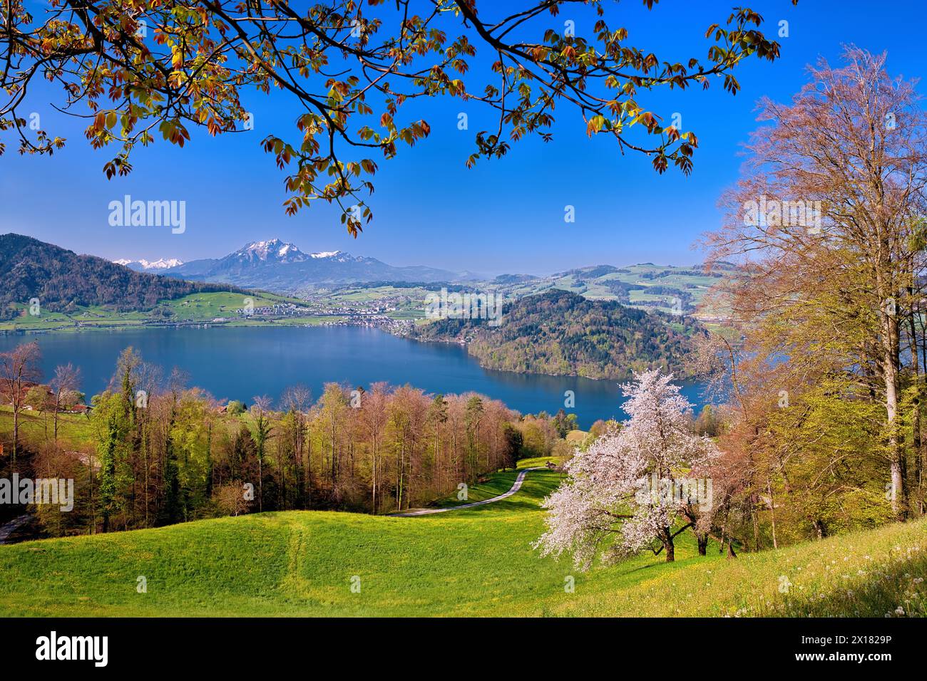Blick auf den Zugersee mit Halbinsel Chiemen, dahinter Pilatus, Kantone Zug, Schwyz, Luzern, Schweiz Stockfoto