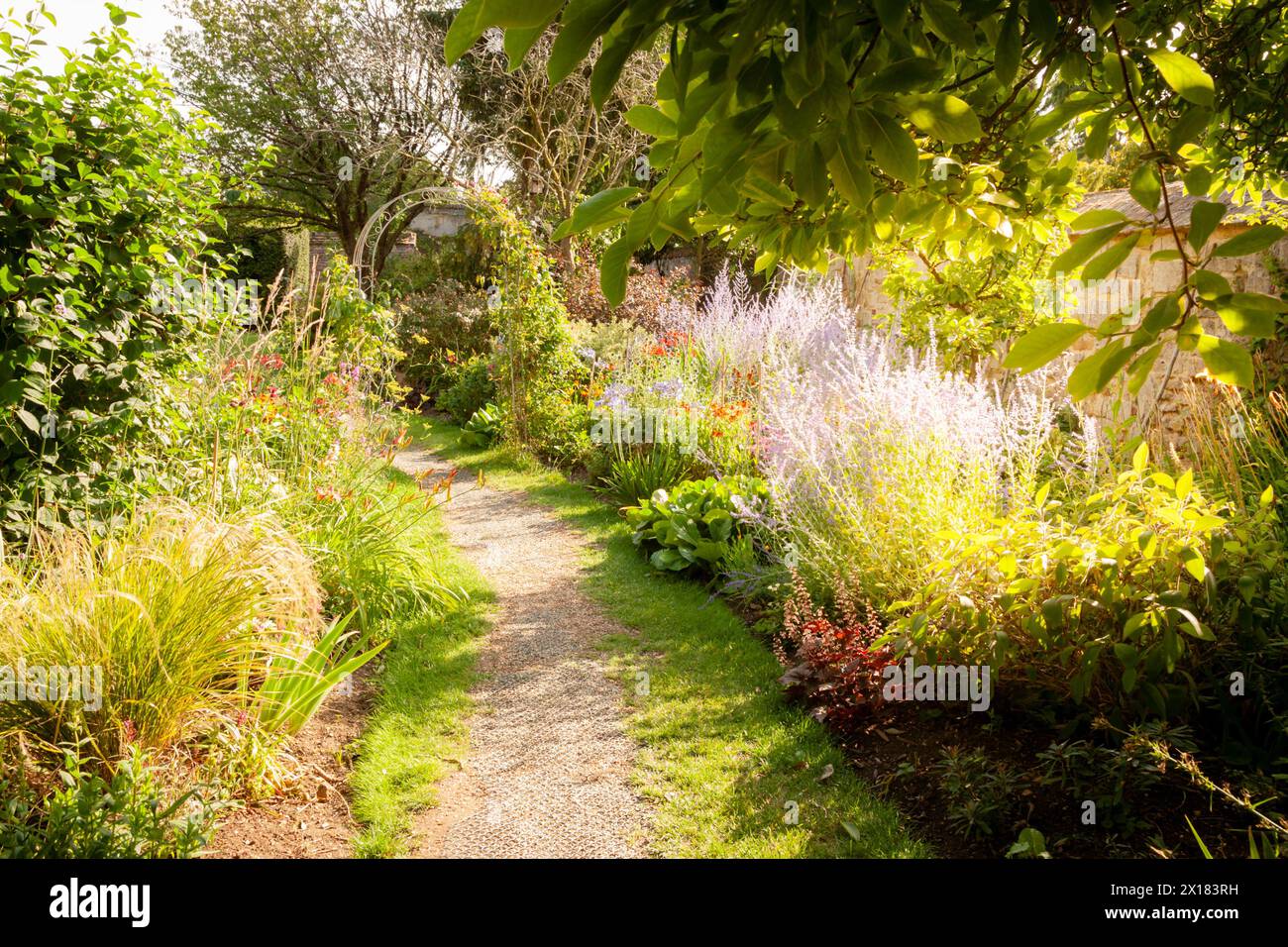 Hübsche Blumengrenze im Frühsommer, Großbritannien Stockfoto
