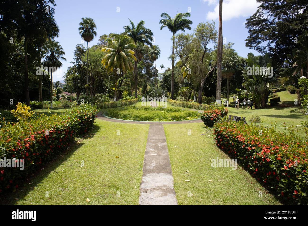 Botanische Gärten, St. Vincent und die Grenadinen Stockfoto