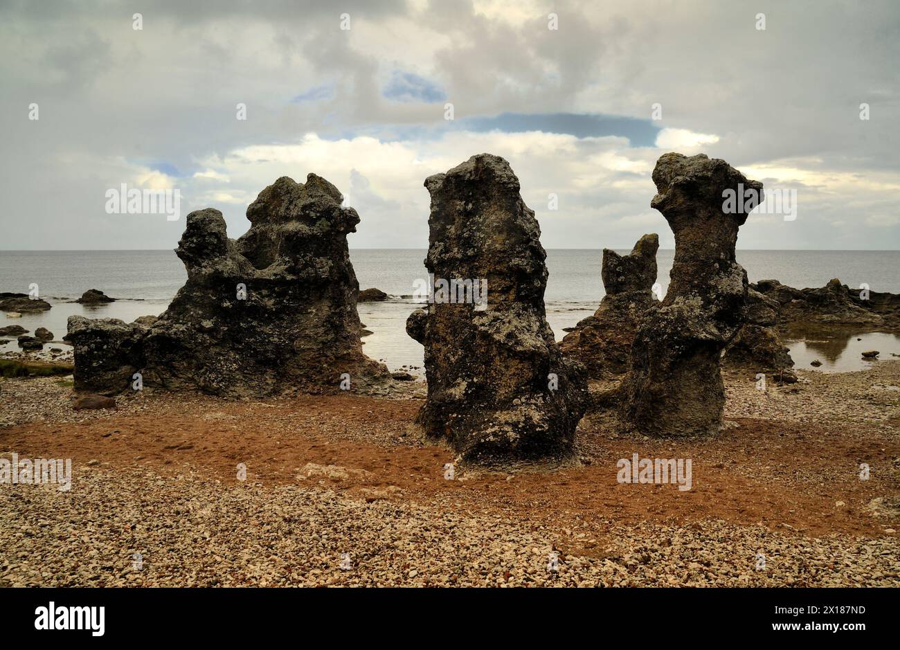 Klippen auf der Insel Gotland in Schweden Stockfoto