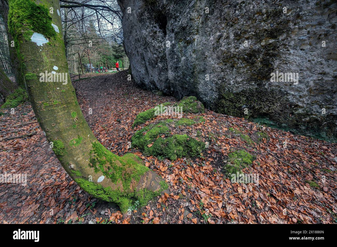 Mit einer Höhe von rund 9 Metern, einem Volumen von über 400 Kubikmetern und einem Gewicht von rund 735 Tonnen ist der Dengelstein der größte erhaltene Stockfoto