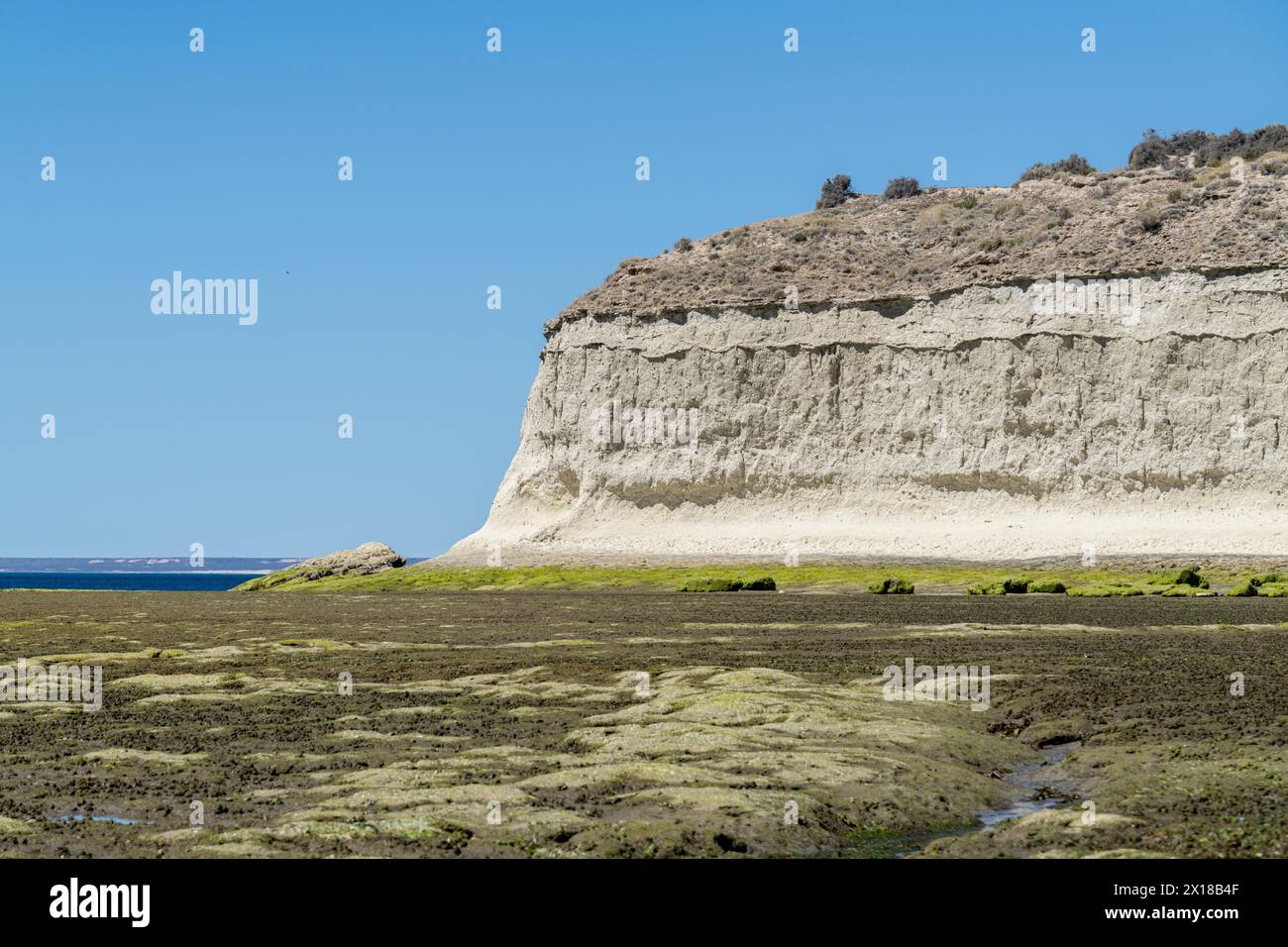 Playa el doradillo, Puerto Madryn, Provinz Chubut, Argentinien Stockfoto