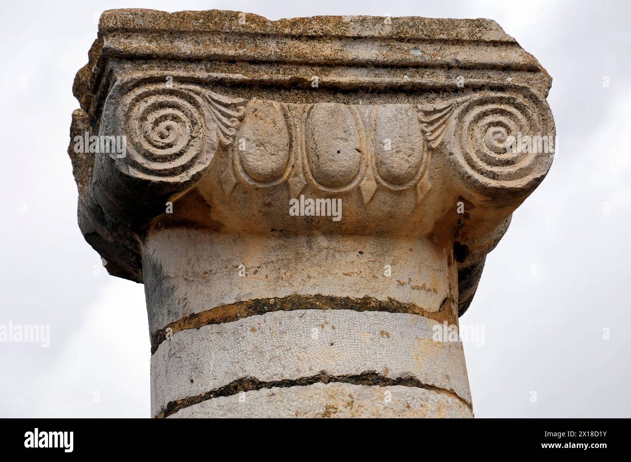 Detail, Säule, archäologische Ausgrabung der antiken römischen Stadt Volubilis, UNESCO-Weltkulturerbe, Nahaufnahme eines antiken Säulenkopfes mit Stockfoto