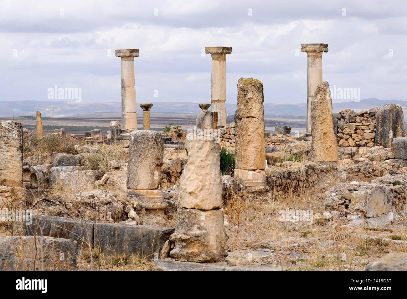 Archäologische Ausgrabung der antiken römischen Stadt Volubilis, UNESCO-Weltkulturerbe, stehende und gefallene Säulen inmitten einer antiken Stockfoto