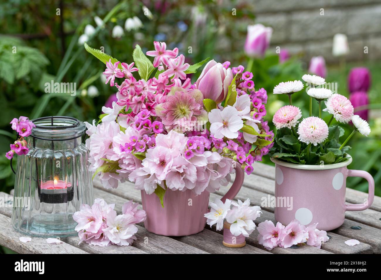 Romantisches Arrangement mit Blumenstrauß von fastenrose, Tulpe, Hyazinthen, bergenie und japanischer blühender Kirsche, bellis perennis und Tischlaterne Stockfoto