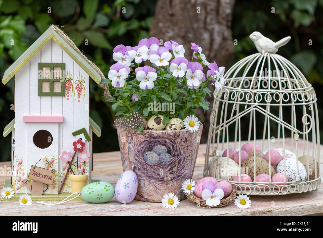 osterarrangement mit Bratschenblume im Topf, Vogelhaus und ostereiern Stockfoto