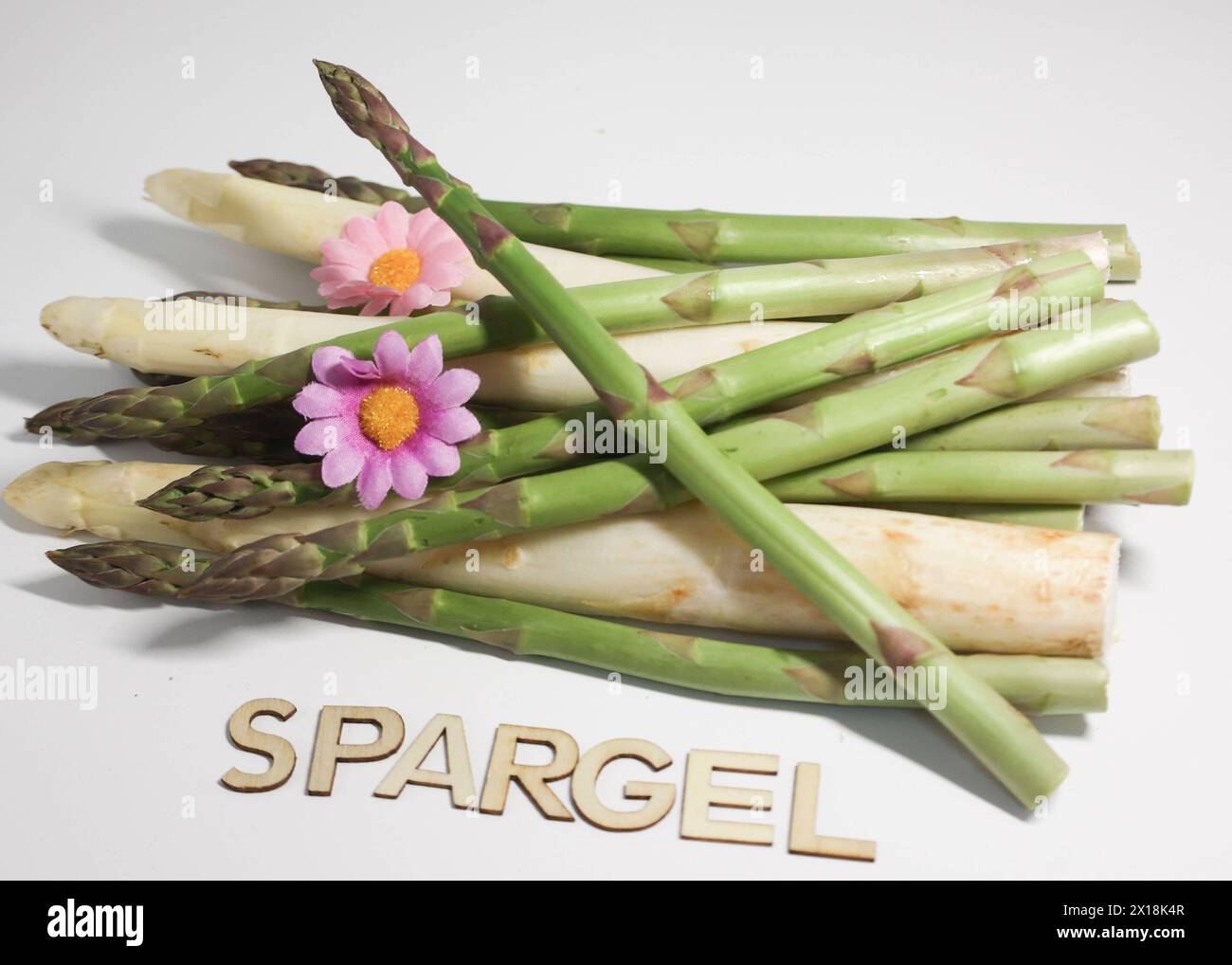 15.04.2024, Handenberg, AUT, unterwegs in Oberösterreich, Reportage, Themenbild, Verschiedene Themenbilder, Symbolbild, Spargel, im Bild Bio, Spar, Spargel, verschiedene Motive, Blume, *** 15 04 2024, Handenberg, AUT, unterwegs in Oberösterreich, Reportage, Themenbild, diverse Themenbilder, Symbolbild, Spargel, im Bild Bio, Spargel, Spargel, verschiedene Motive, Blume, Stockfoto