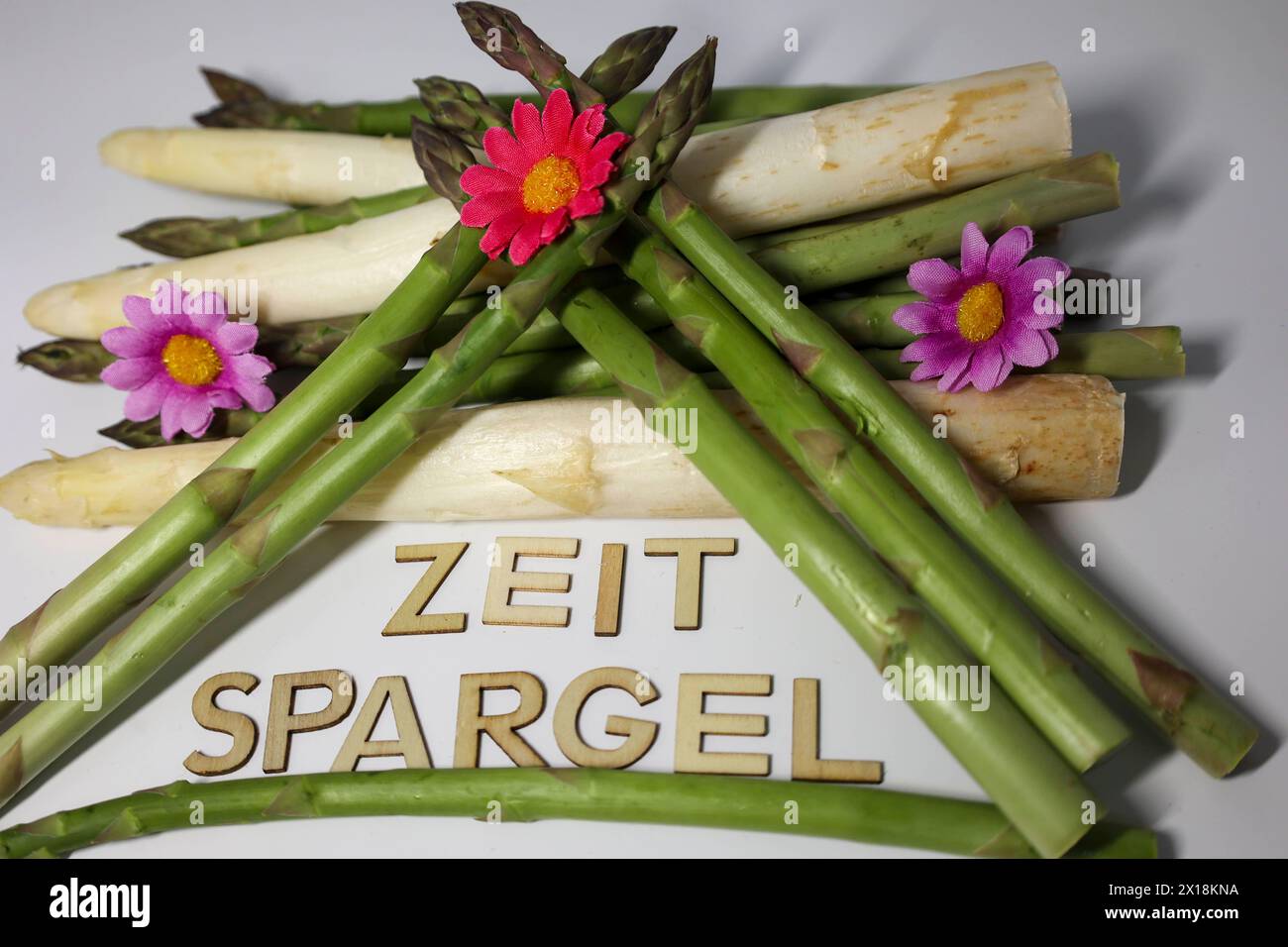 15.04.2024, Handenberg, AUT, unterwegs in Oberösterreich, Reportage, Themenbild, Verschiedene Themenbilder, Symbolbild, Spargel, im Bild Bio, Spar, Spargel, verschiedene Motive, Blume, *** 15 04 2024, Handenberg, AUT, unterwegs in Oberösterreich, Reportage, Themenbild, diverse Themenbilder, Symbolbild, Spargel, im Bild Bio, Spargel, Spargel, verschiedene Motive, Blume, Stockfoto