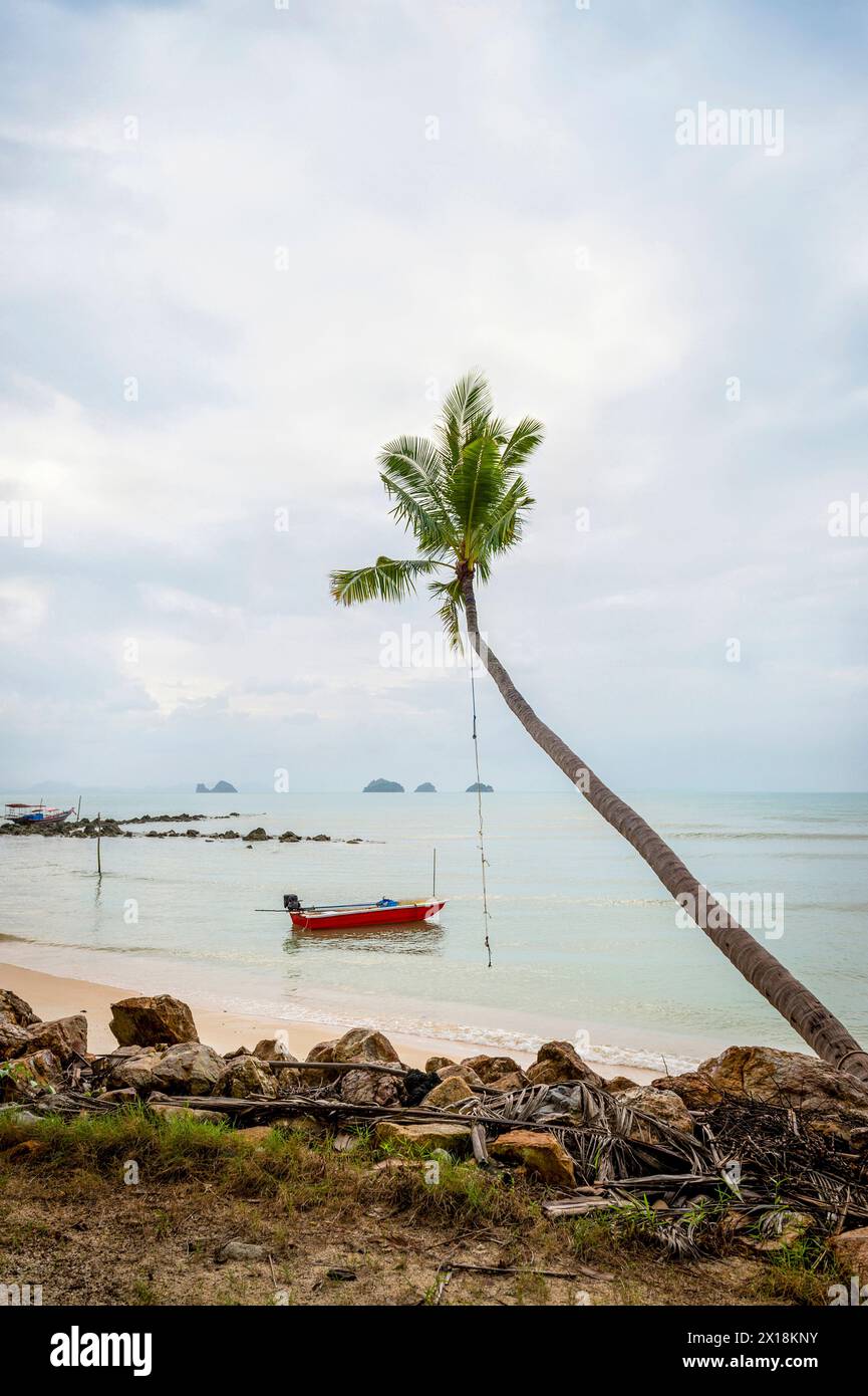 Koh Samui, Thailand, ruhige Szene mit Boot und einsamer Palme Stockfoto