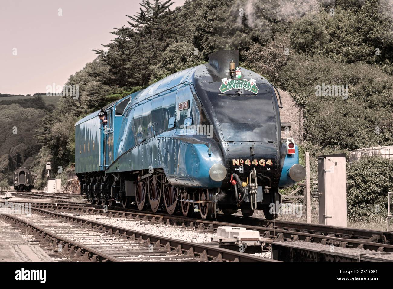 Großbritannien, England, Devon, LNER A4 Pacific Lokomotive „Bittern“ besucht Kingswear Station an der Dartmouth Steam Railway Stockfoto