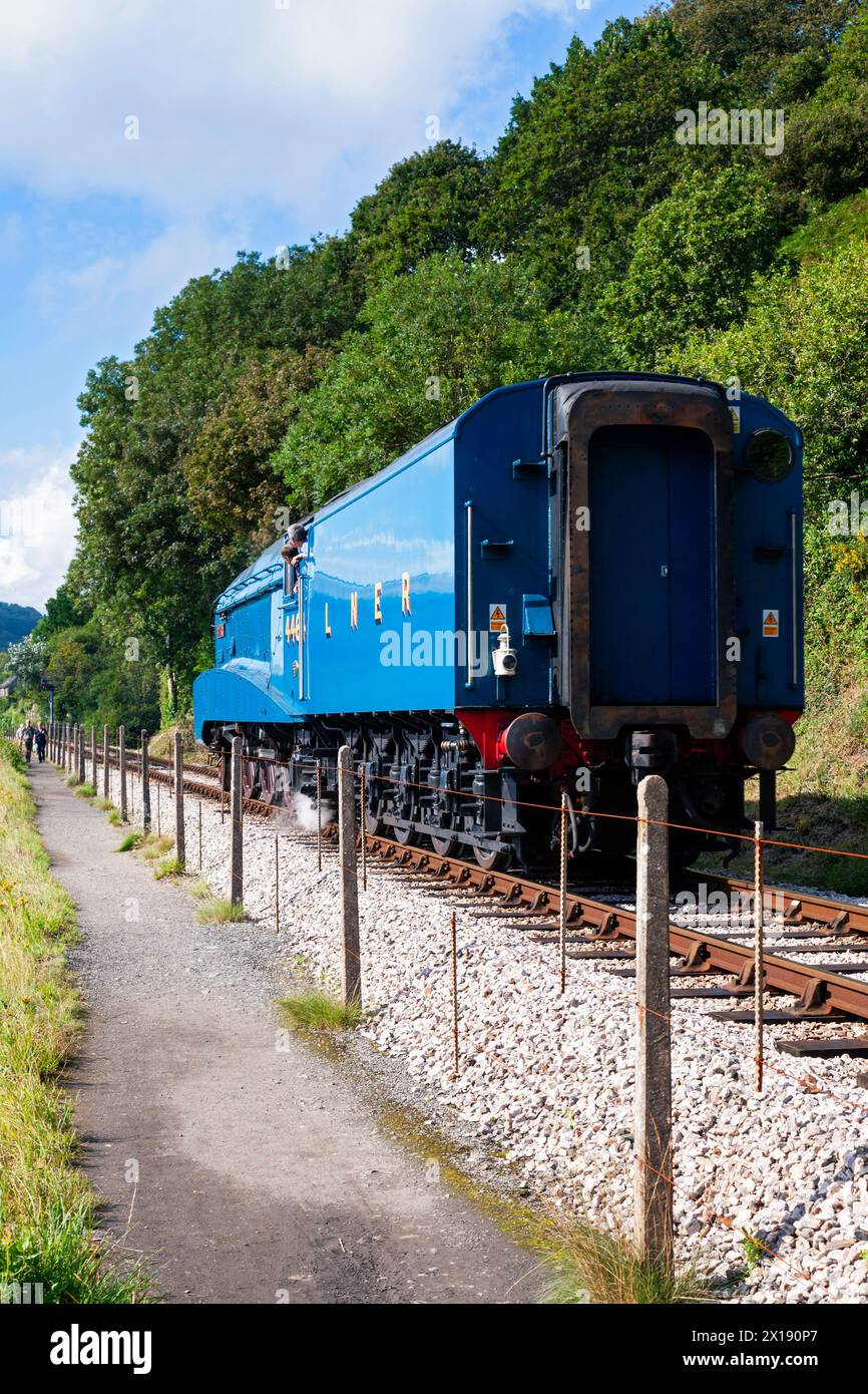 UK, England, Devon, LNER A4 Pacific 'Bittern' zu Besuch bei Kingswear Station an der Dartmouth Steam Railway Stockfoto