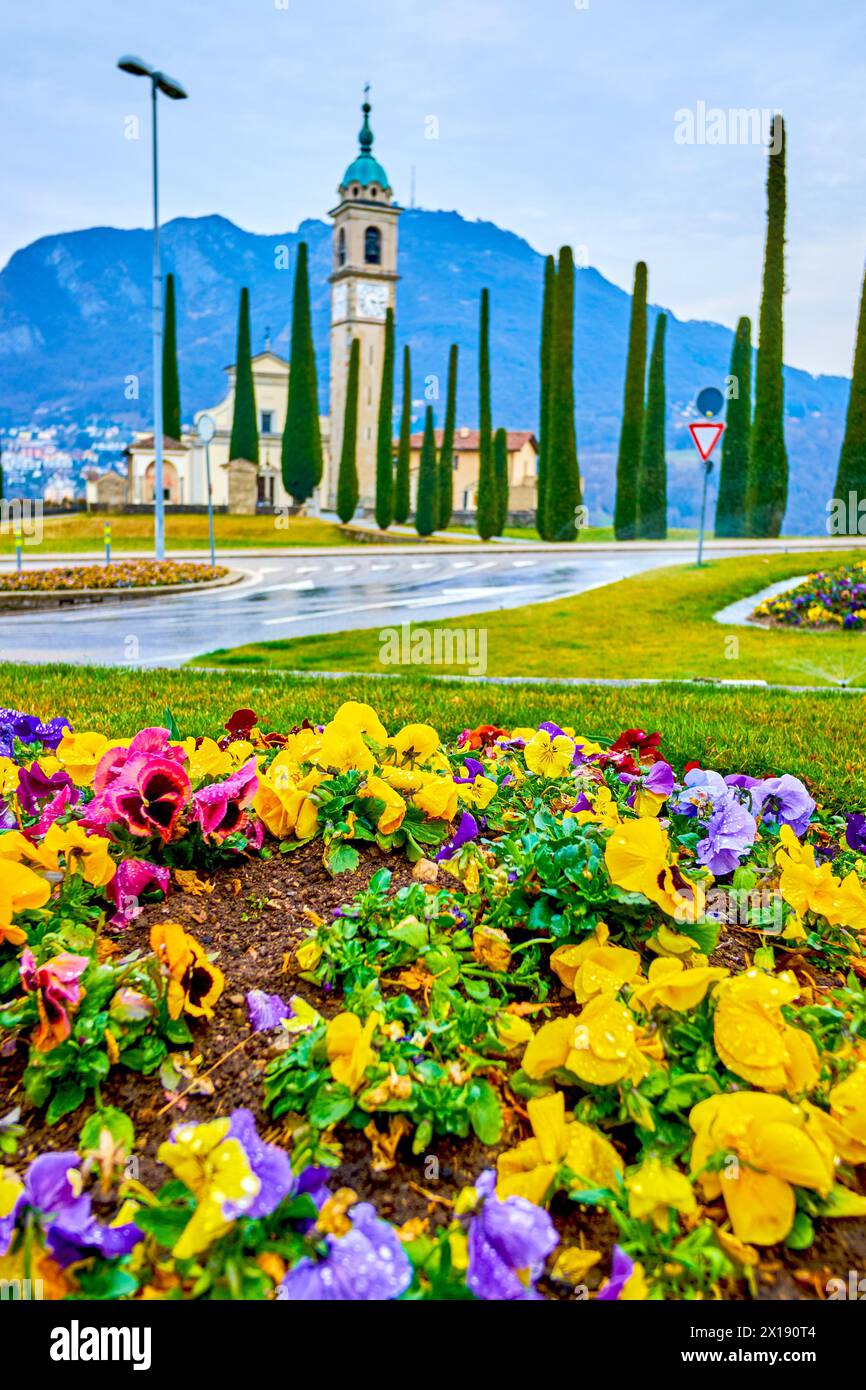 Buntes Blumenbeet und Sant'Abbondio Chuch mit Zypressen auf dem Hintergrund, Collina d'Oro, Schweiz Stockfoto