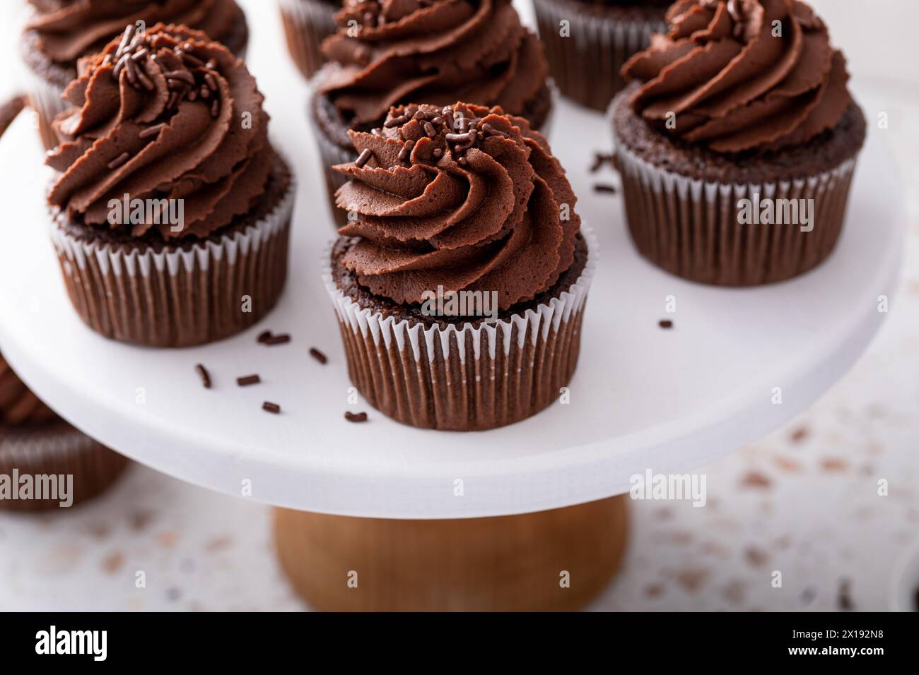 Schokoladen-Cupcakes mit Schokoladen-Ganache-Zuckerguss und Schokoladenstreuseln darauf Stockfoto
