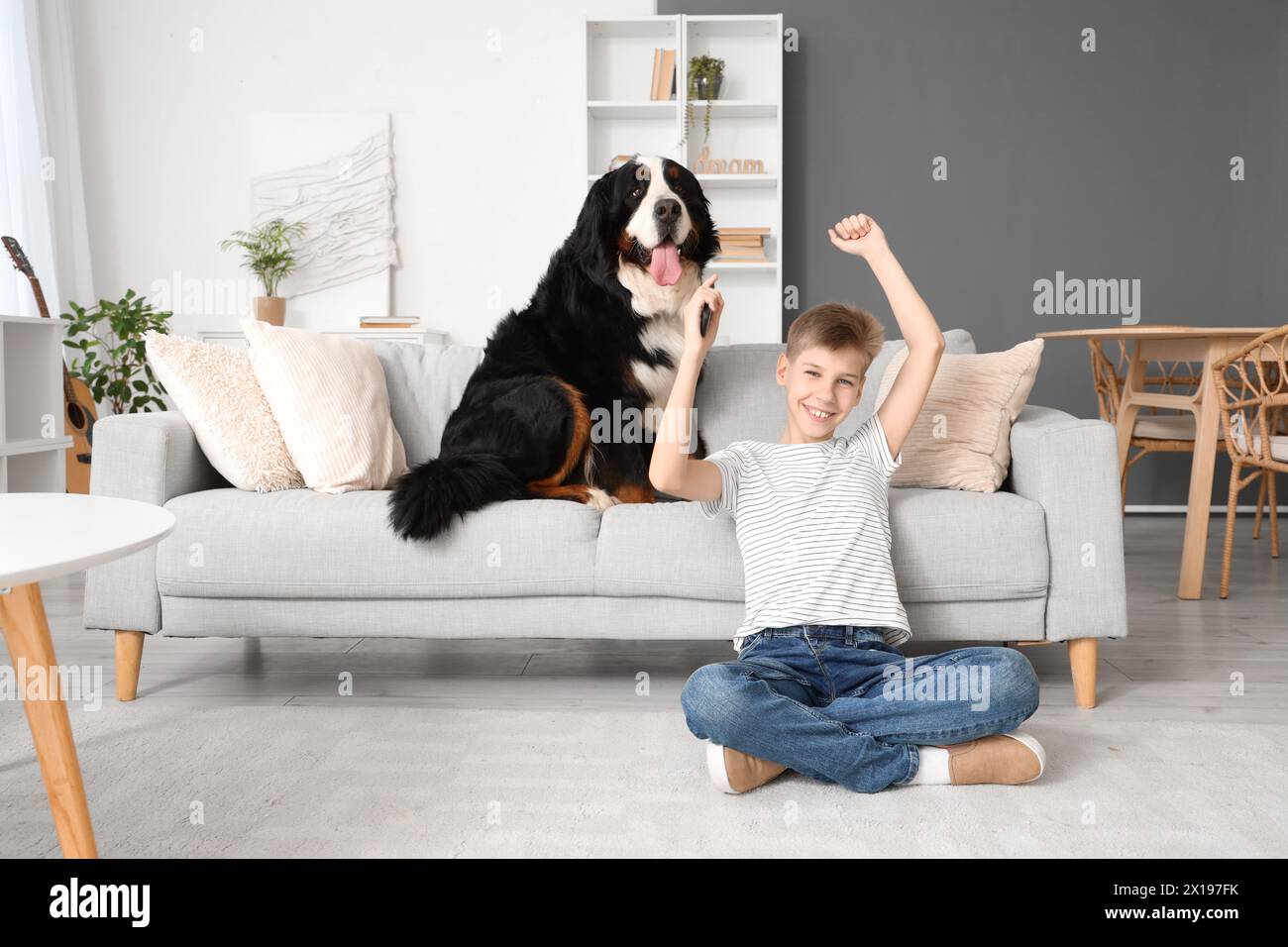 Kleiner Junge mit Berner Berghund, der zu Hause fernsieht Stockfoto