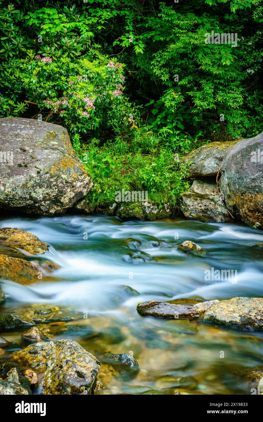 Langzeitbelichtung eines kleinen Baches in Maggie Valery, North Carolina Stockfoto