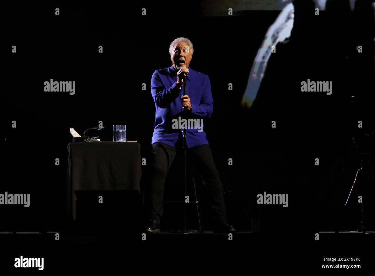 TOM JONES IM KONZERT Stockfoto