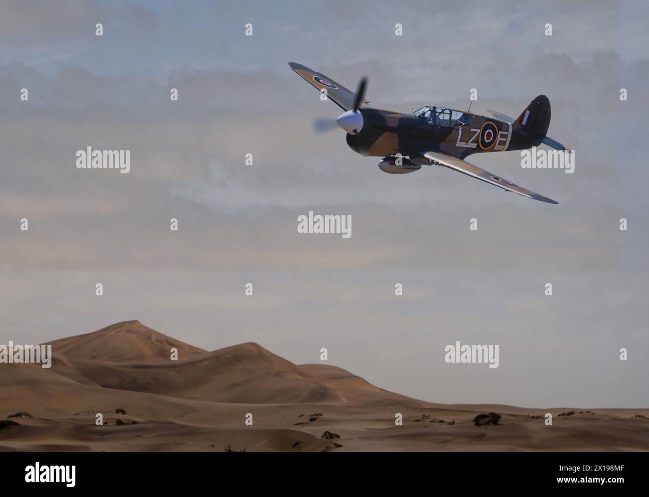 P 40 kittyhawk -Fotos und -Bildmaterial in hoher Auflösung – Alamy