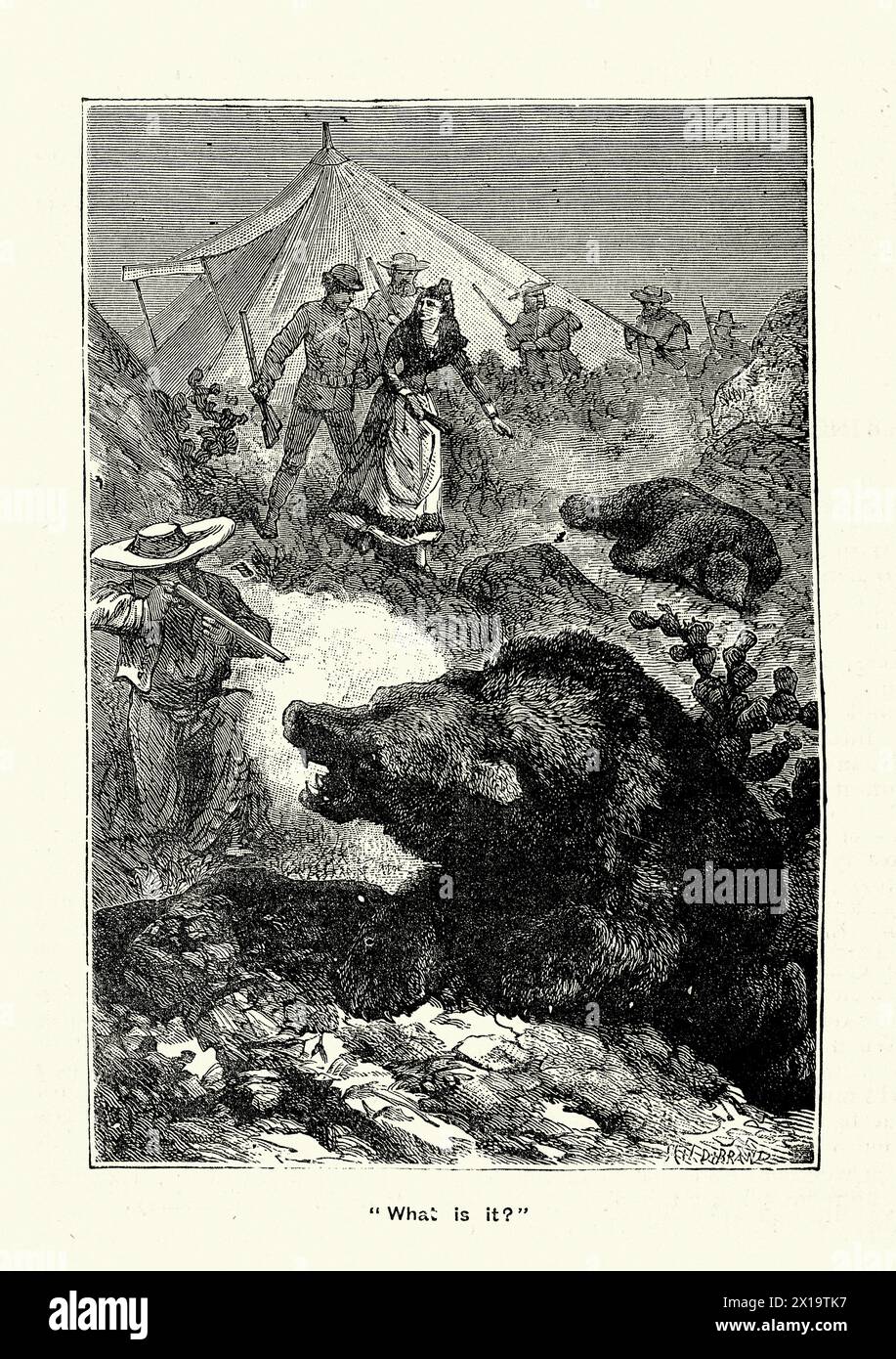Hunter verteidigt das Lager vor einem Bärenangriff, Wilder Westen, 1880er Jahre, Vintage-Illustration. Der Silberne Kanon, Eine Geschichte des Abenteuers in der Fernen Wast Stockfoto