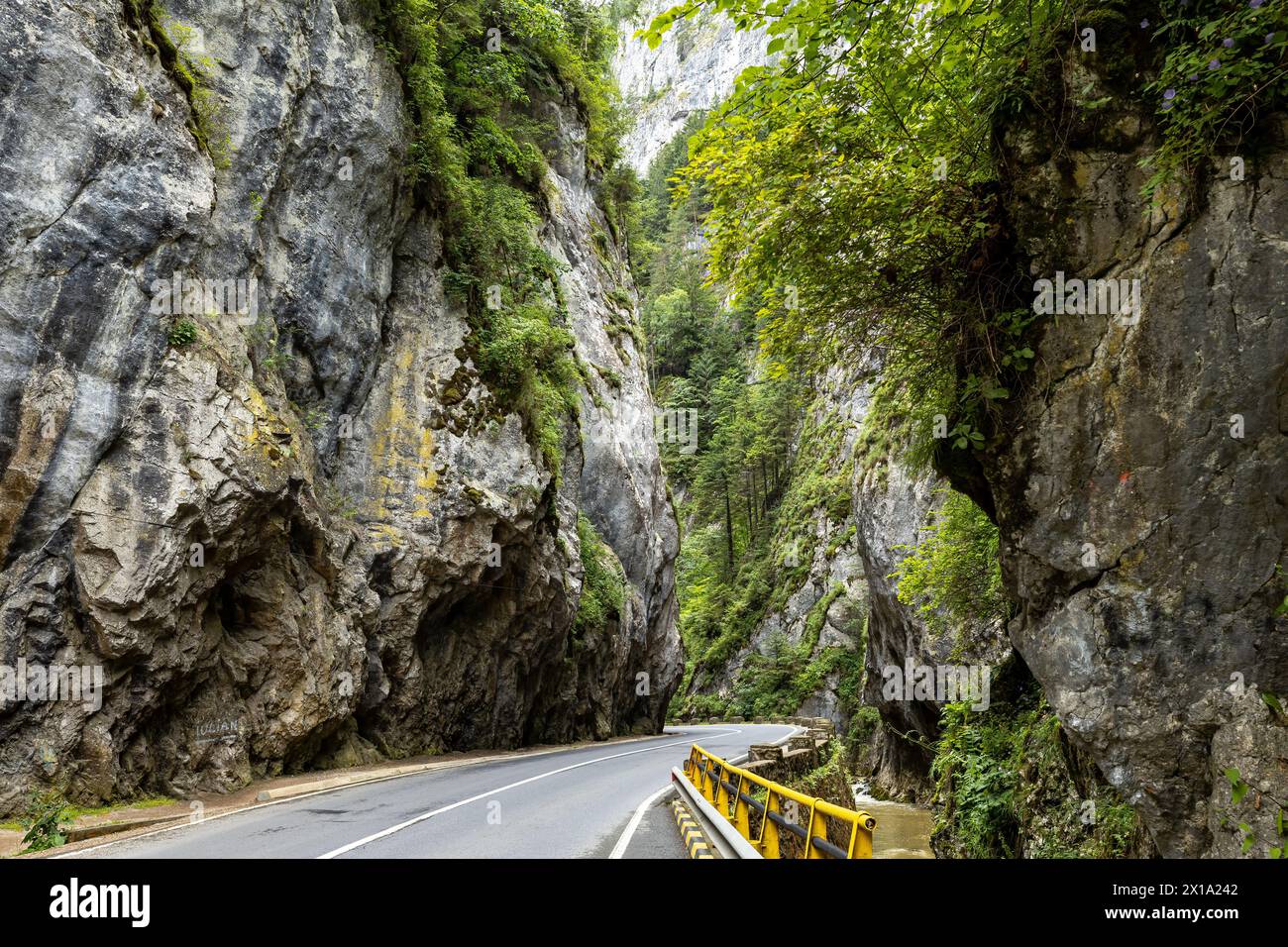Der Bicaz Canyon in den Karpaten Rumäniens Stockfoto