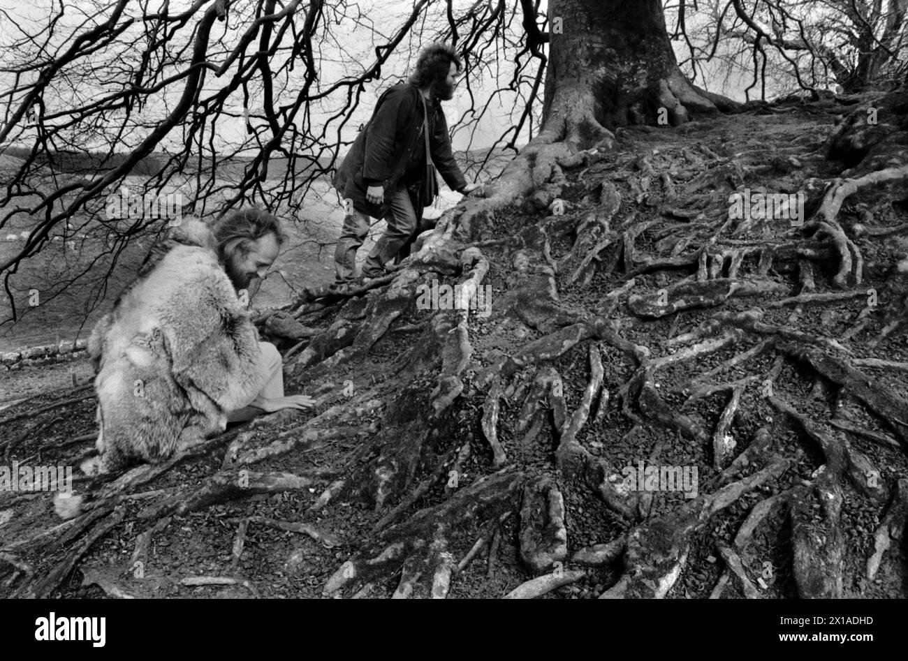 Philip Shallcrass (links) vom New Age Hippie British Druid Order führt eine Versammlung rund um das äußere Henge-Ufer von Avebury an und berührt die Wurzeln eines alten Buchenbaums, um die Geister darunter zu begrüßen. Philip Shallcrass, oft bekannt unter seinem Druidennamen Greywolf, ist Chef des britischen Druidenordens. Avebury, Wiltshire, England 1996 1990s UK HOMER SYKES meine Ref. 28/4985/ Stockfoto