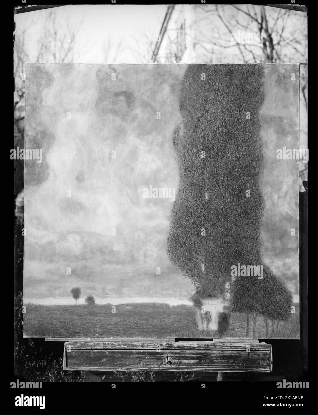 Der Anlegeplatz Cottonwood II (ansteigender Sturm), Landschaft mit Pappel in Litzlberg am Attersee. Gemälde von Gustav Klimt. Fotoreproduktion von Maurice Naehr, 1903 - 19030101 PD2884 - Rechteinfo: Rights Managed (RM) Stockfoto
