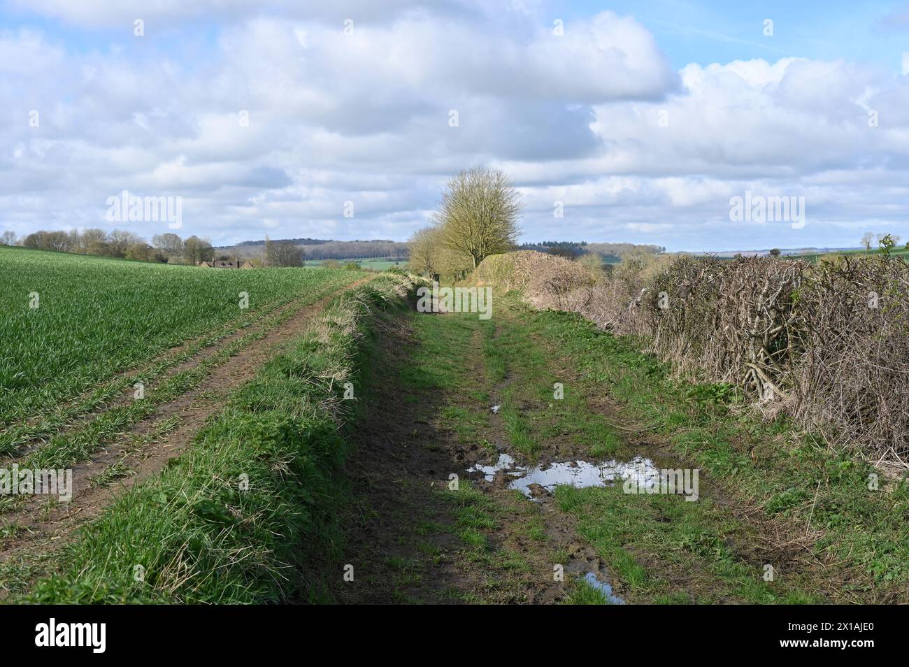 Blick auf einen Fußweg in der Nähe des Campingplatzes Banbury Hill Farm, Charlbury, Oxfordshire Stockfoto