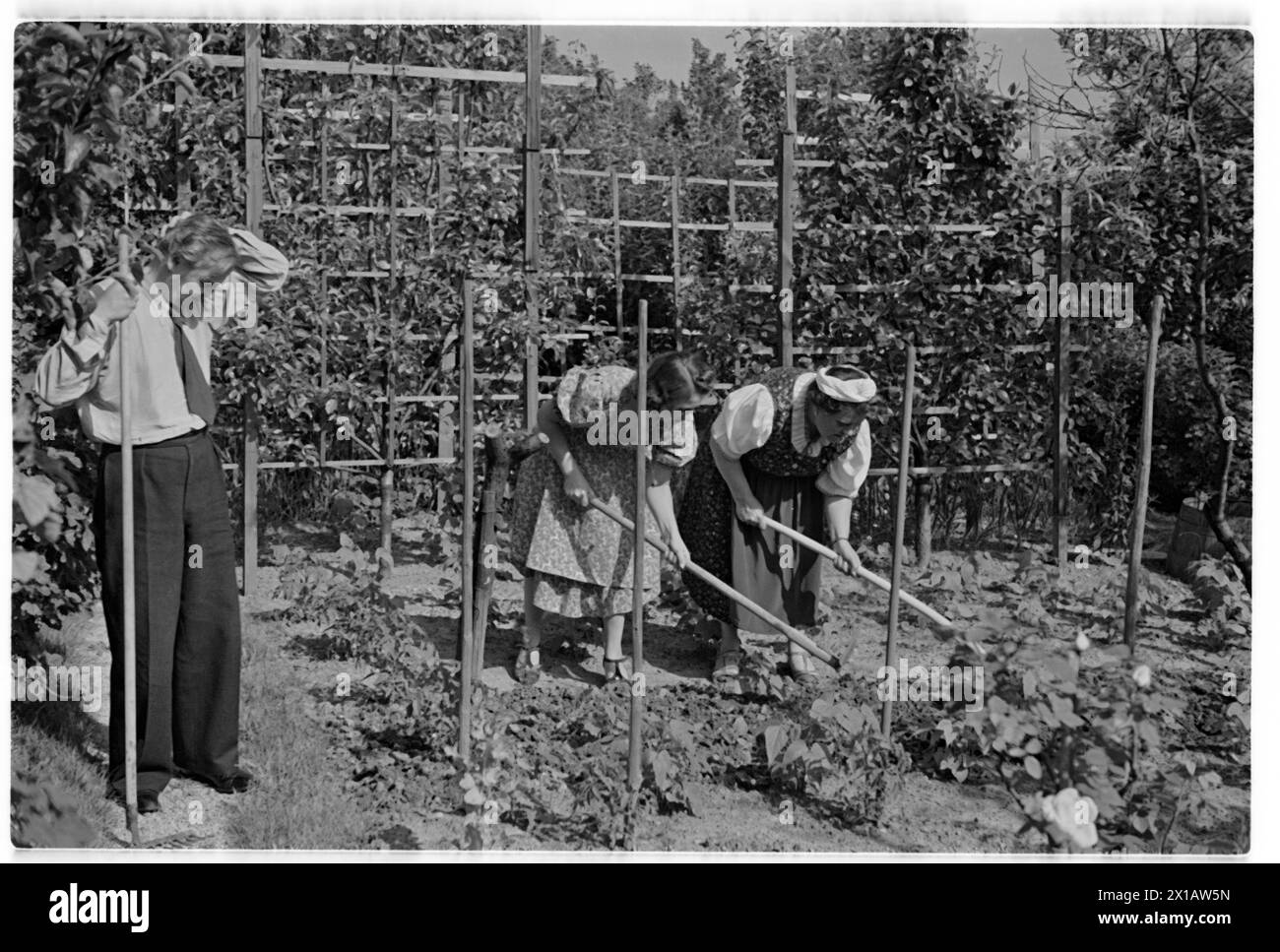 Annie Rosar im Schreberggarten, auf der Gartenarbeit. - 19400624 PD0013 - Rechteinfo: Rechte verwaltet (RM) Stockfoto