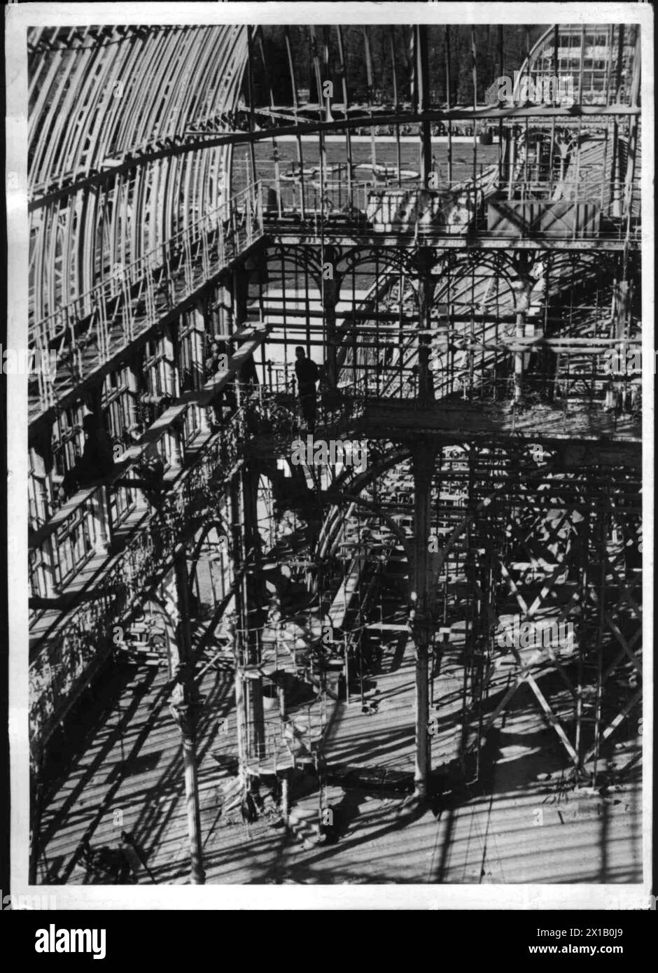Sanierungsarbeiten im Palmenhaus in Schönbrunn, 1954 - 19540101 PD2156 - Rechteinfo: Rights Managed (RM) Stockfoto