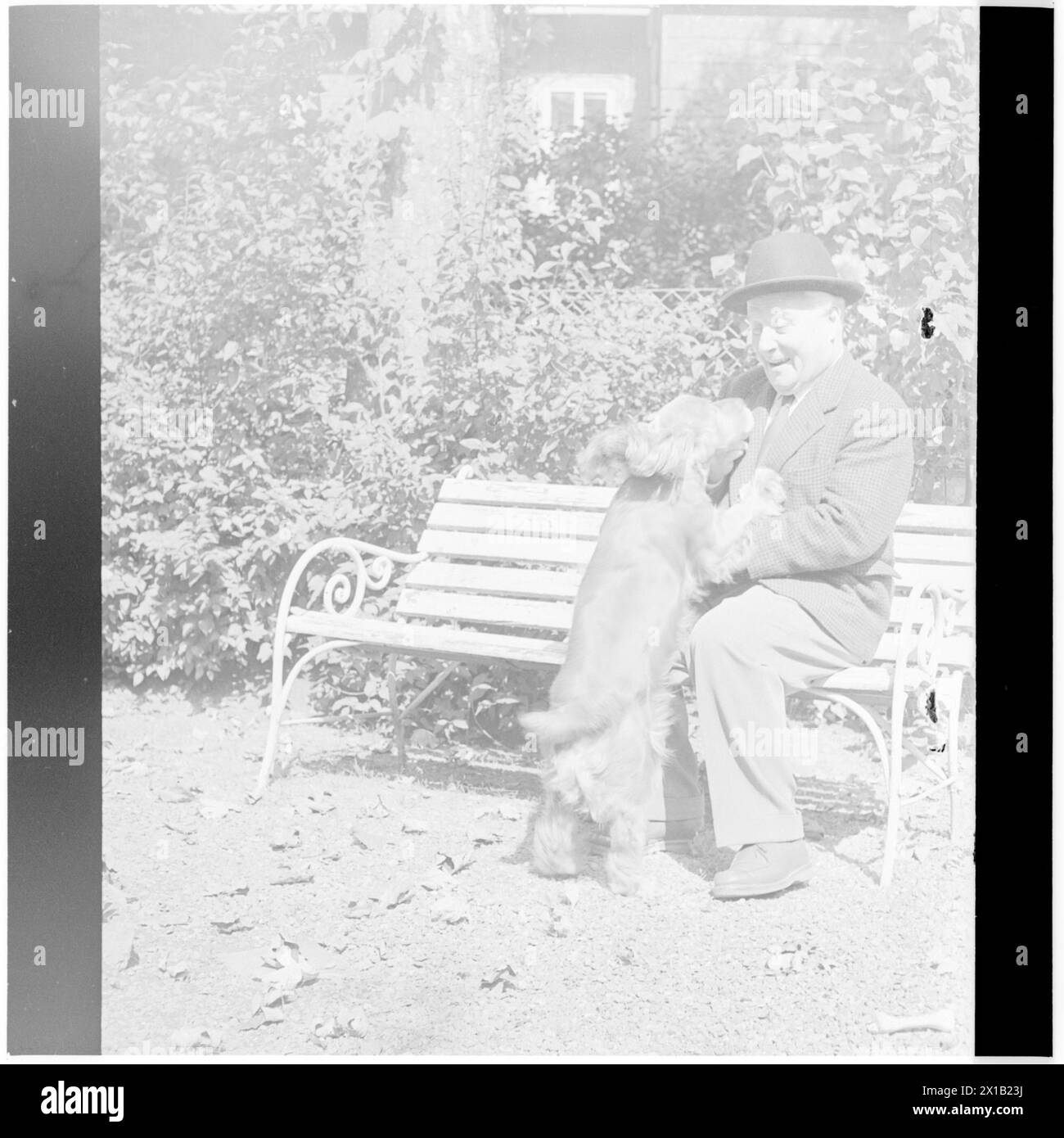 Thimig sitzt auf einer Bank, mit seinem Hund, Thimig auf einer Bank, mit seinem Hund. Schauspieler des Hofburg-Theaters Hermann Thimig, 1960 - 19600101 PD4732 - Rechteinfo: Rechte verwaltet (RM) Stockfoto
