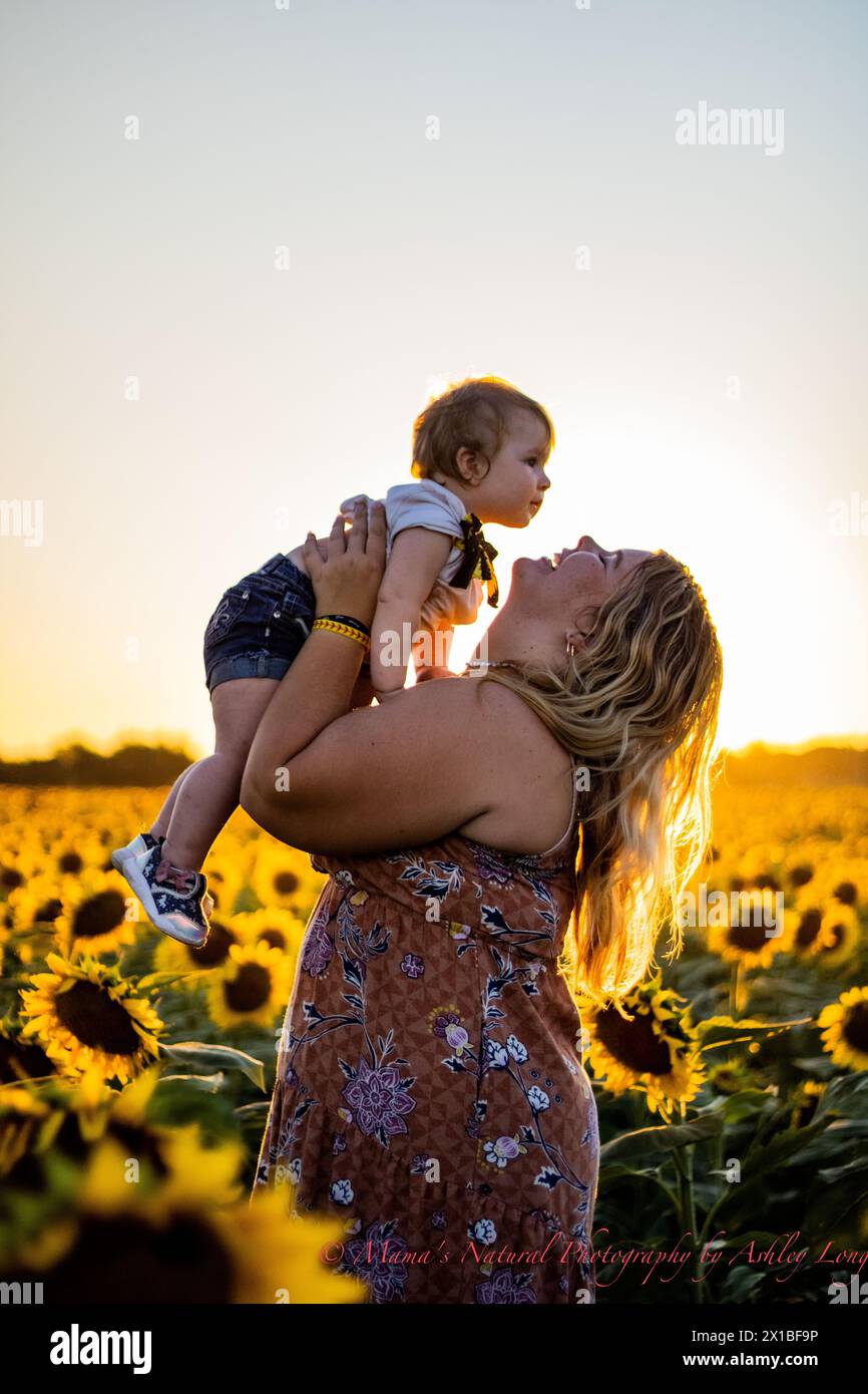 Die Sonnenblumen küssen die Kinder, während sie spielen Stockfoto