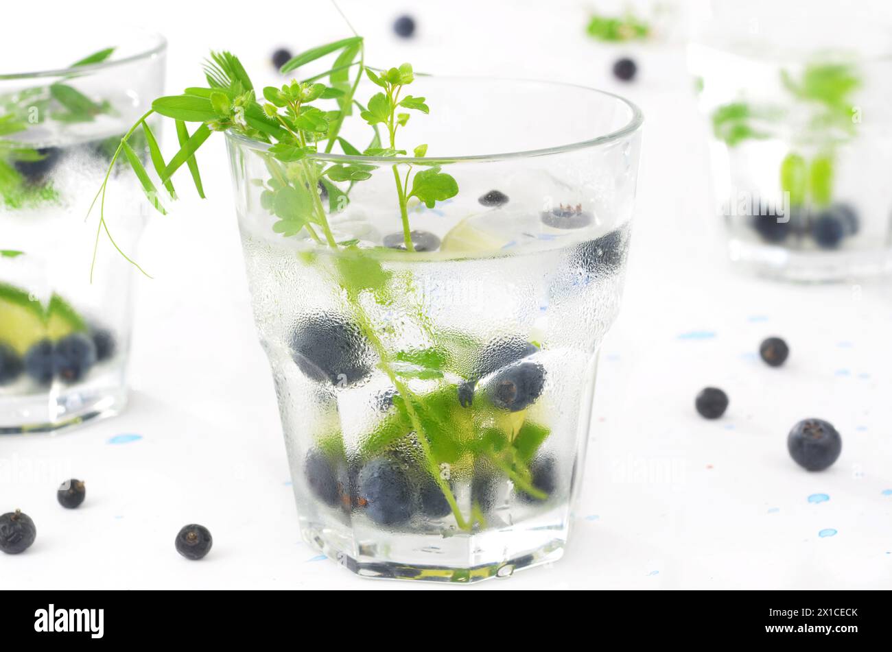 Drei erfrischende Getränke für heiße Tage, dekoriert mit grünen Blättern und Heidelbeeren. Stockfoto