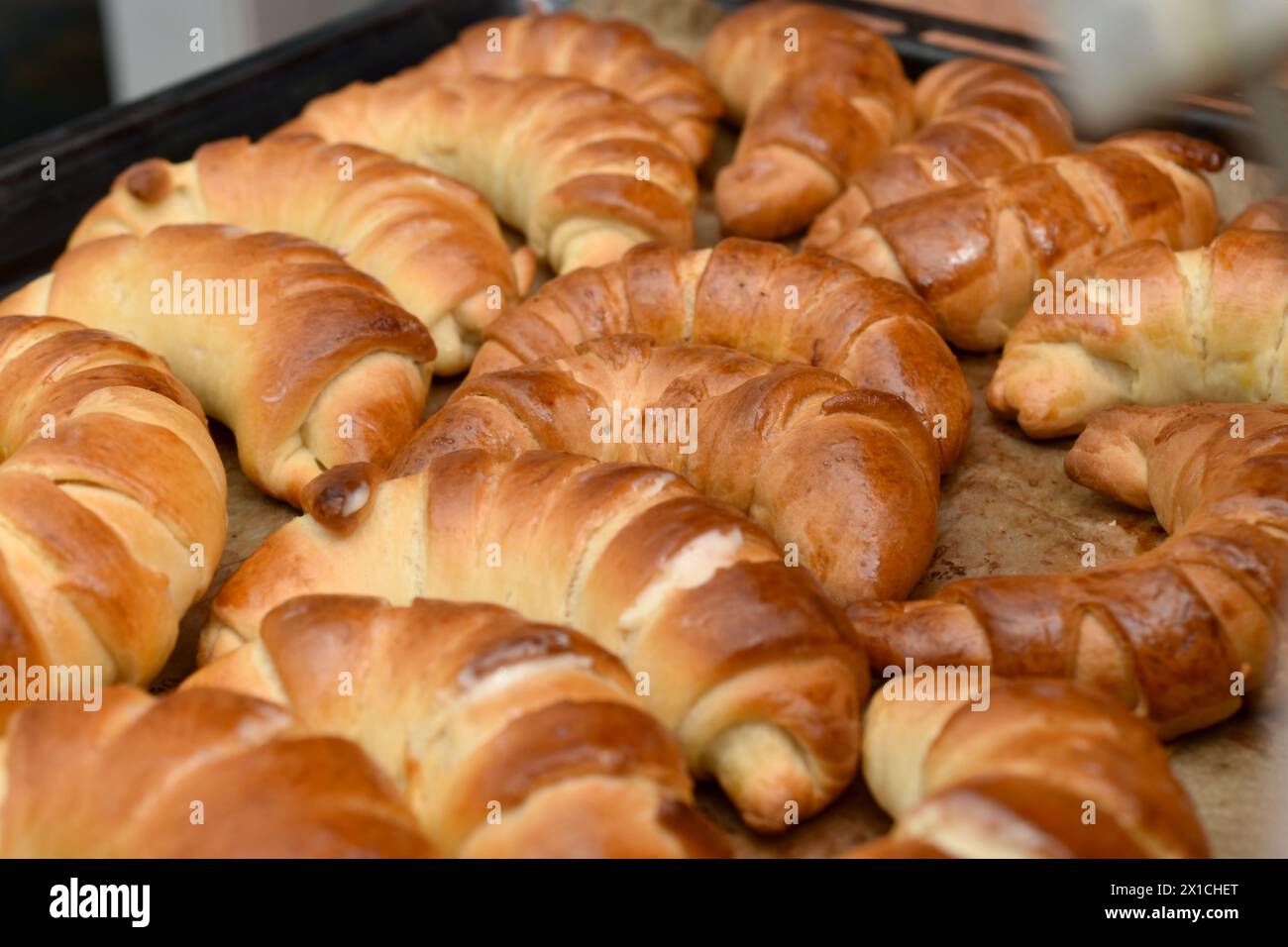 Frisch gebackene Bagels mit Weizenmehl liegen auf einem Backblech. Stockfoto