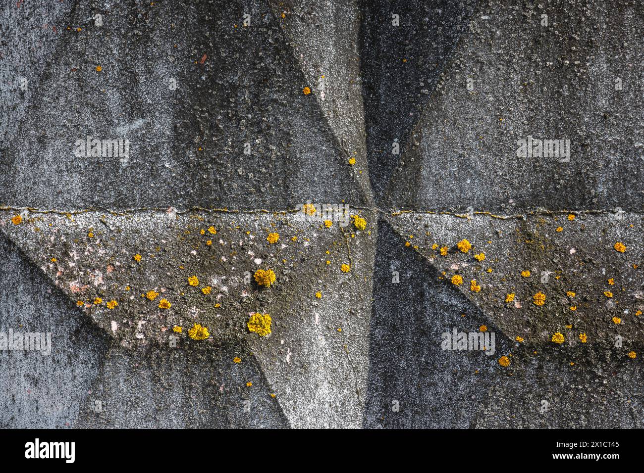 Hintergrundstruktur des alten grauen Betonzaun mit gelben Flechten, die über quadratischem Relief wachsen Stockfoto