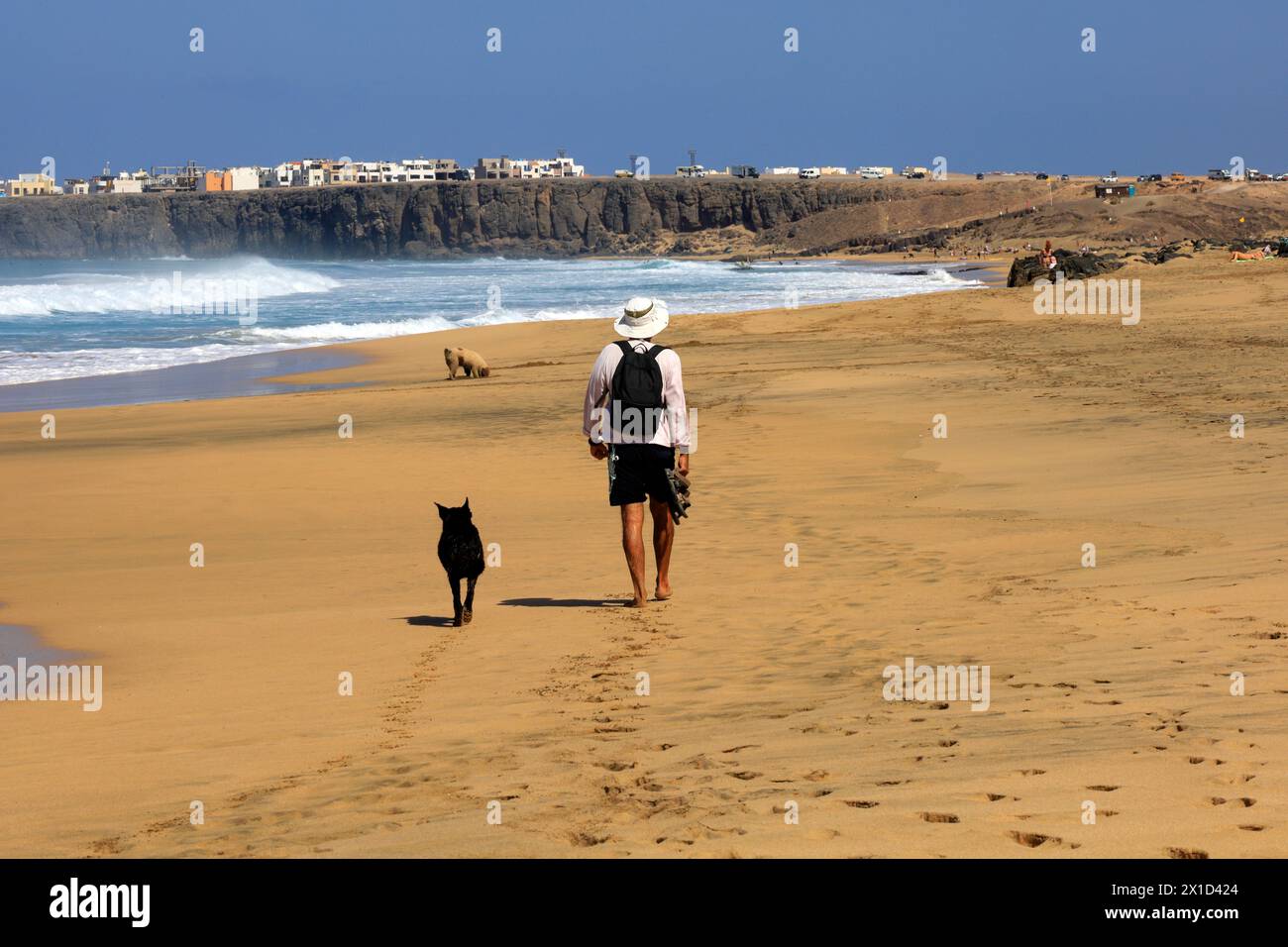 Mann und Hund spazieren am Sandstrand, Piedra Playa, El Cotillo, Fuerteventura, Kanarischen Inseln, Spanien, Europa. Vom Februar 2024 Stockfoto