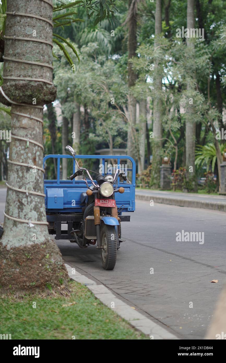 Ein dreirädriges Motorrad mit blauer Karosserie parkte am Straßenrand neben einem großen Baum Stockfoto