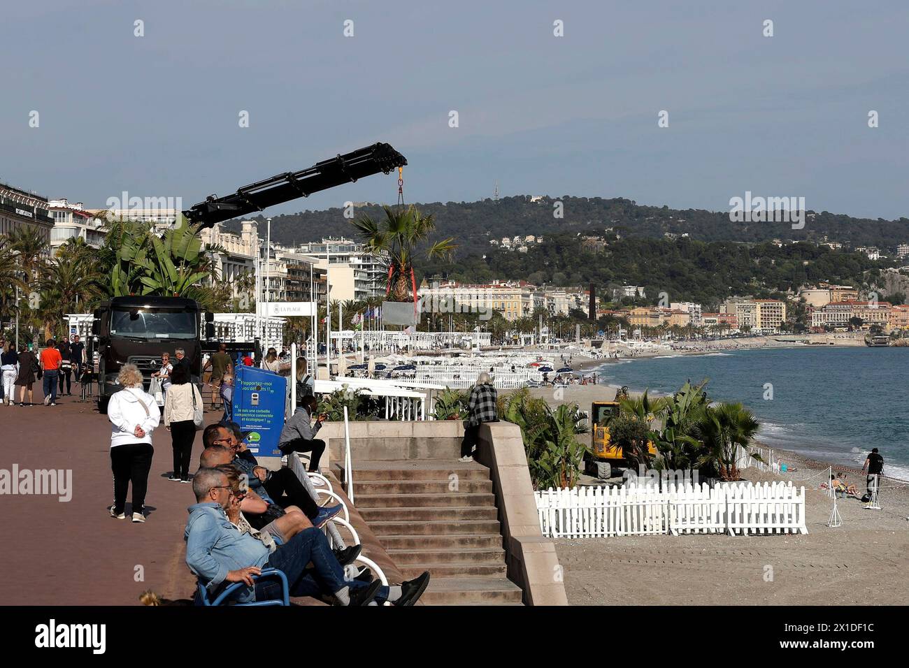© Francois Glories/MAXPPP - 16/04/2024 am Strand des Negresco Hotels an der Promenade des Anglais wurden Palmen gepflanzt, und die privaten Strände der Stadt werden zunehmend mit Bäumen bepflanzt. Quelle: MAXPPP/Alamy Live News Stockfoto